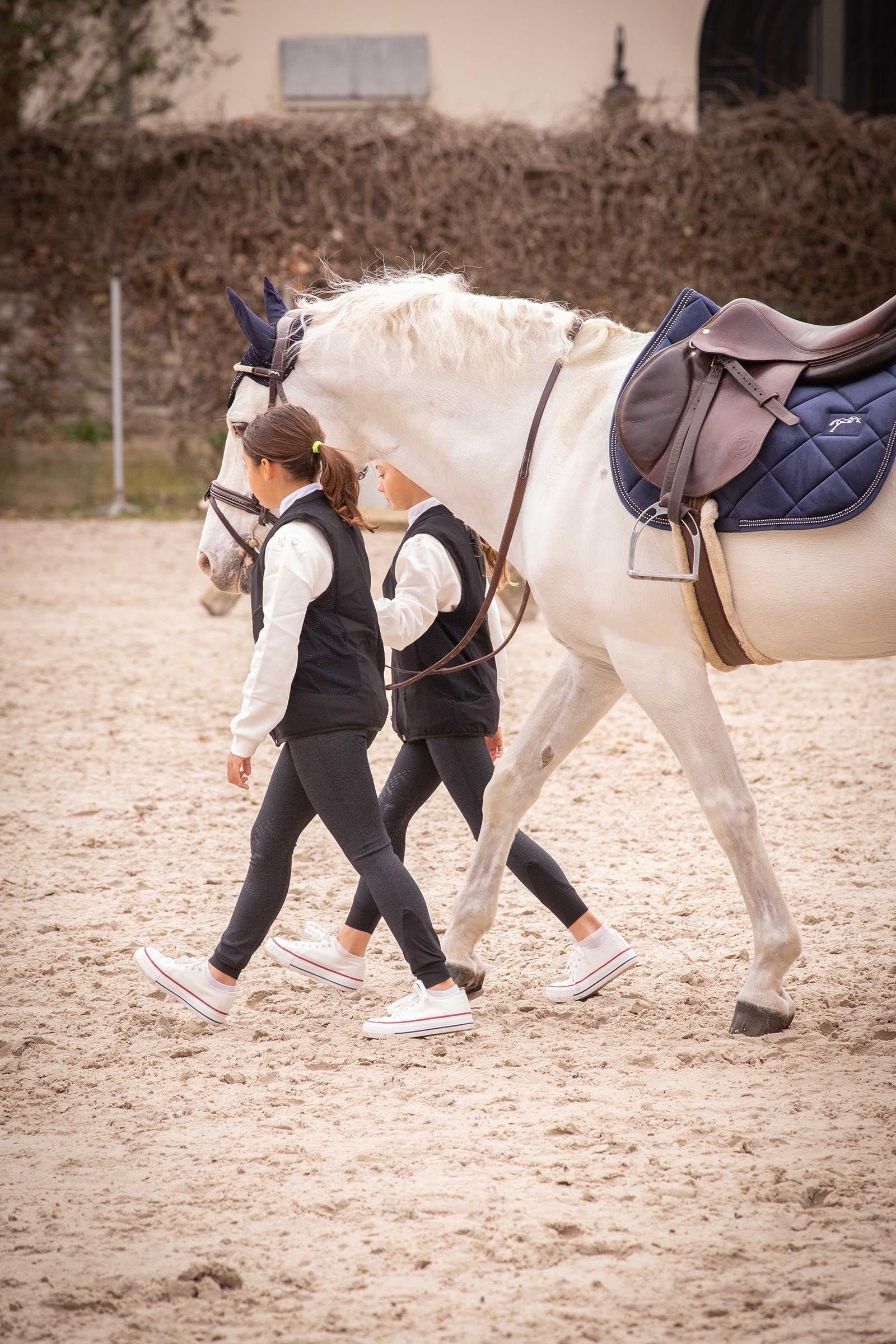 PENELOPE New Strass All Purpose Saddle Pad Saddle Pads