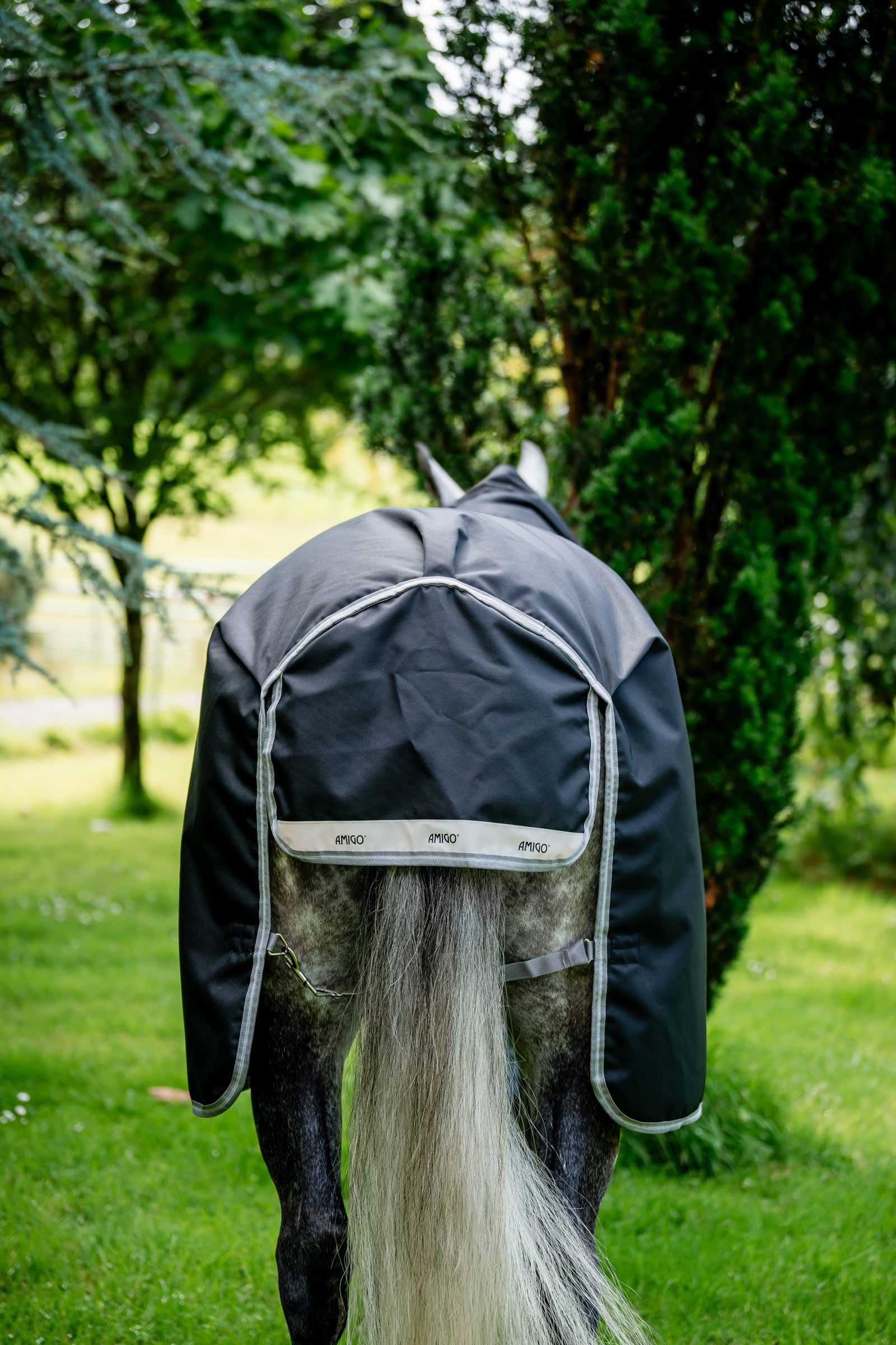 Horseware Amigo 1200D Turnout Rug, 100 g Horse Rugs