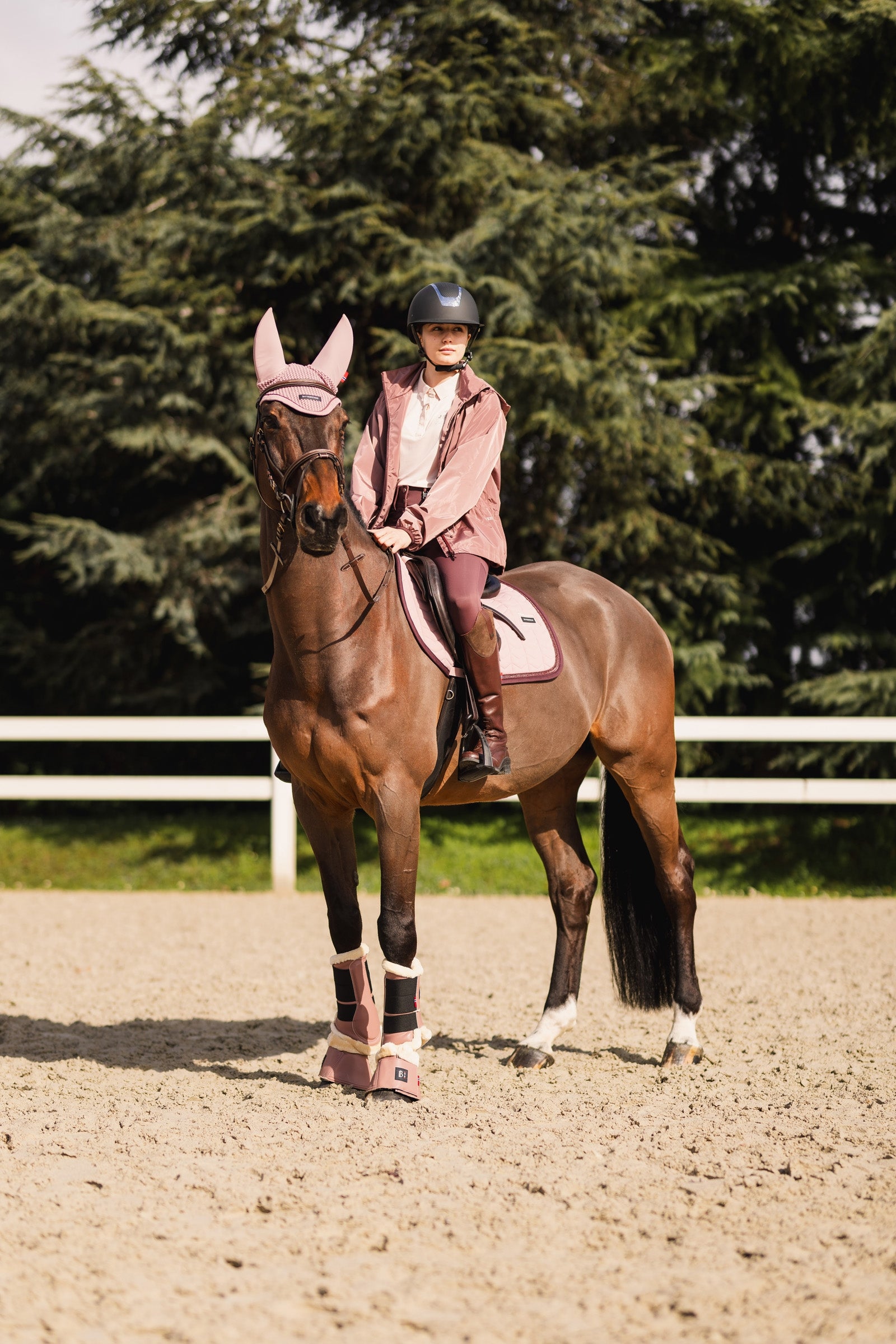 B Vertigo Rouge Reflection Fly Hood Antifly Protection for Horses