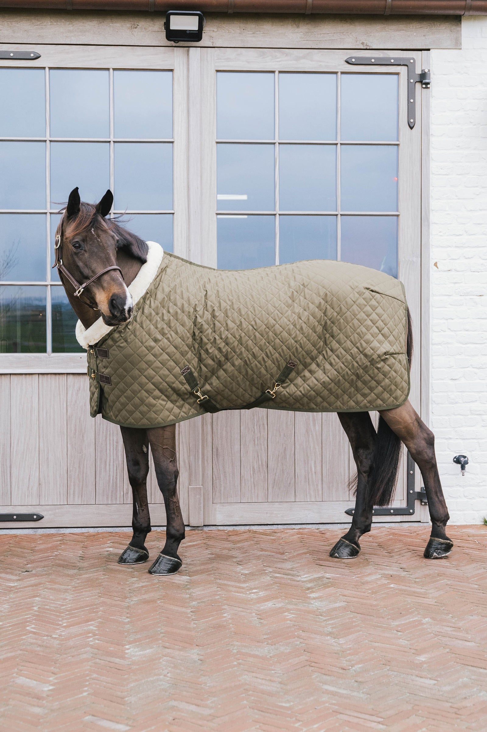 Kentucky Horsewear Coperta da concorso, 160 gr Coperte per cavalli