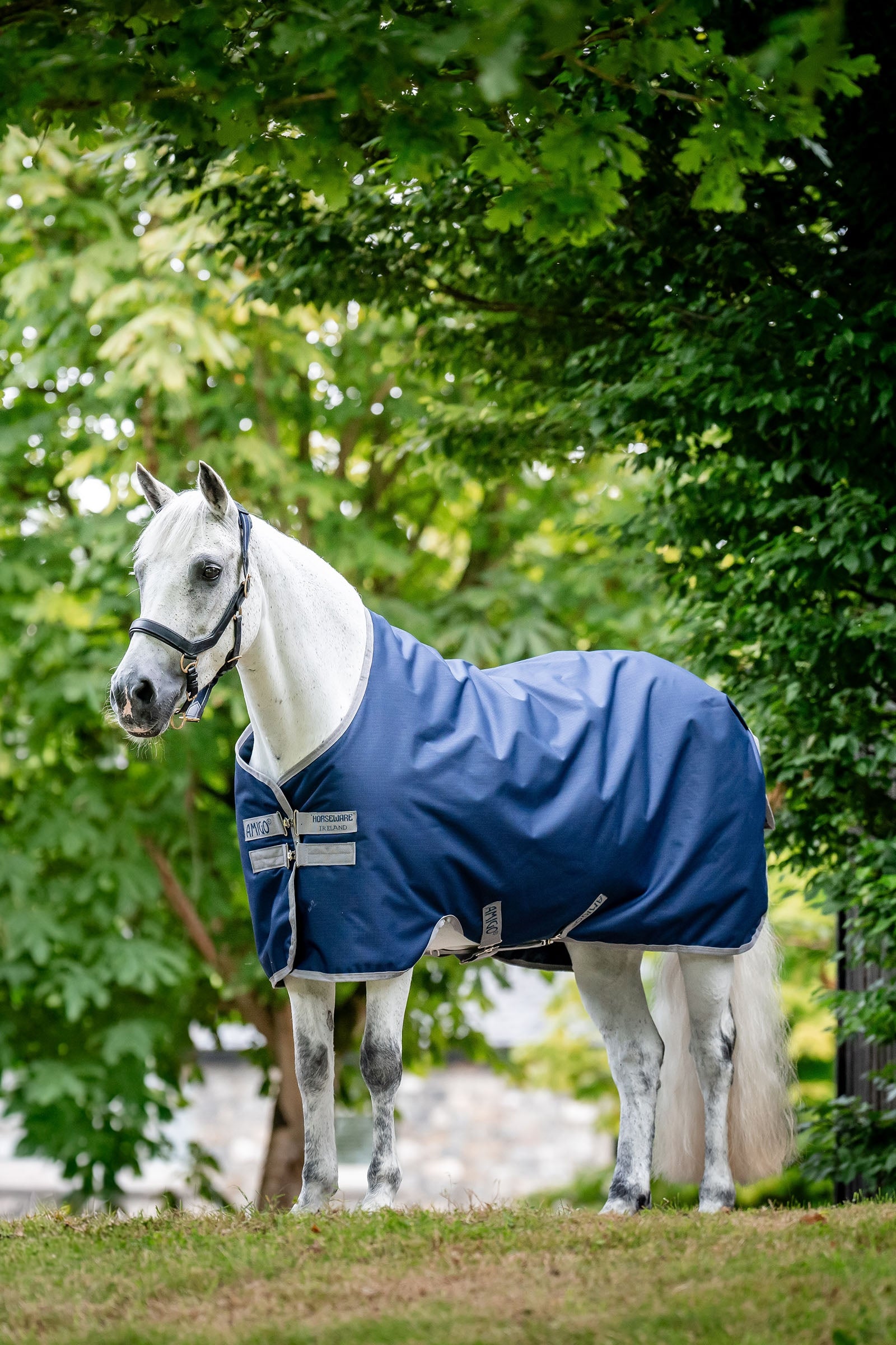 Horseware Amigo Coperta da turnout leggera Ripstop 900D, 50g Coperte per cavalli