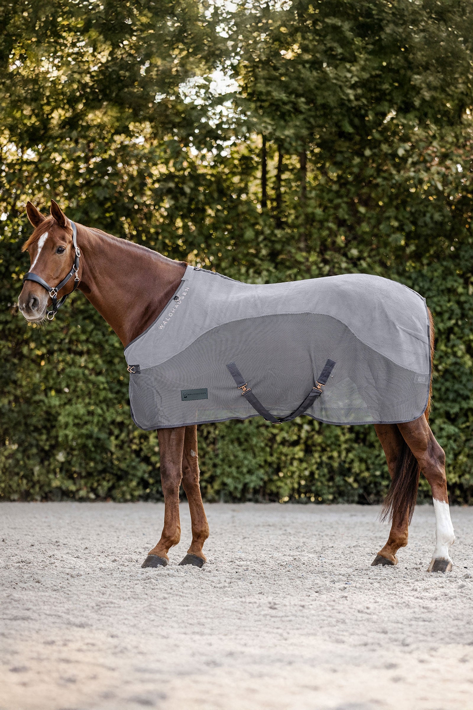 Waldhausen Comfort coperta anti-mosche in pile Coperte per cavalli