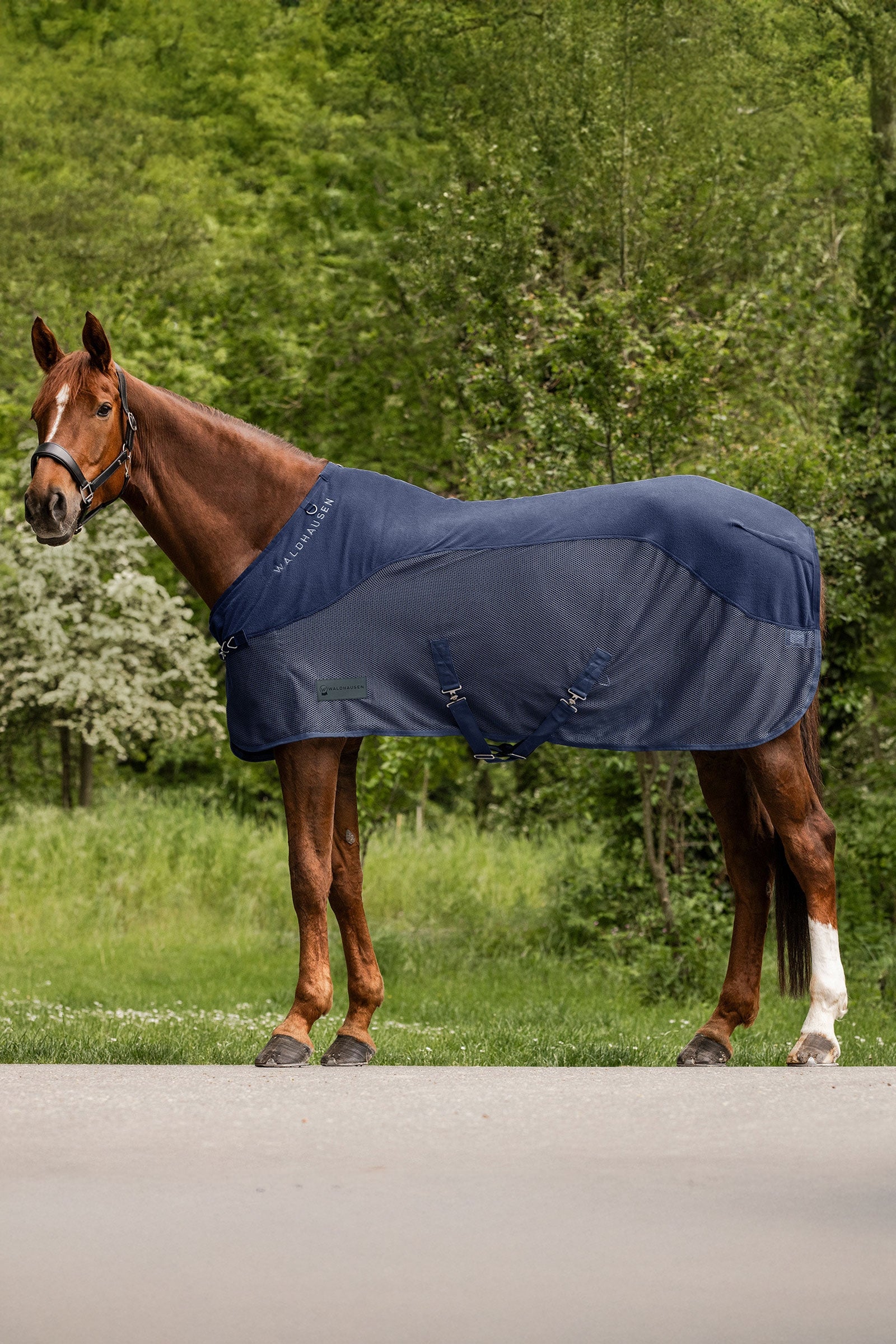 Waldhausen Comfort coperta anti-mosche in pile Coperte per cavalli