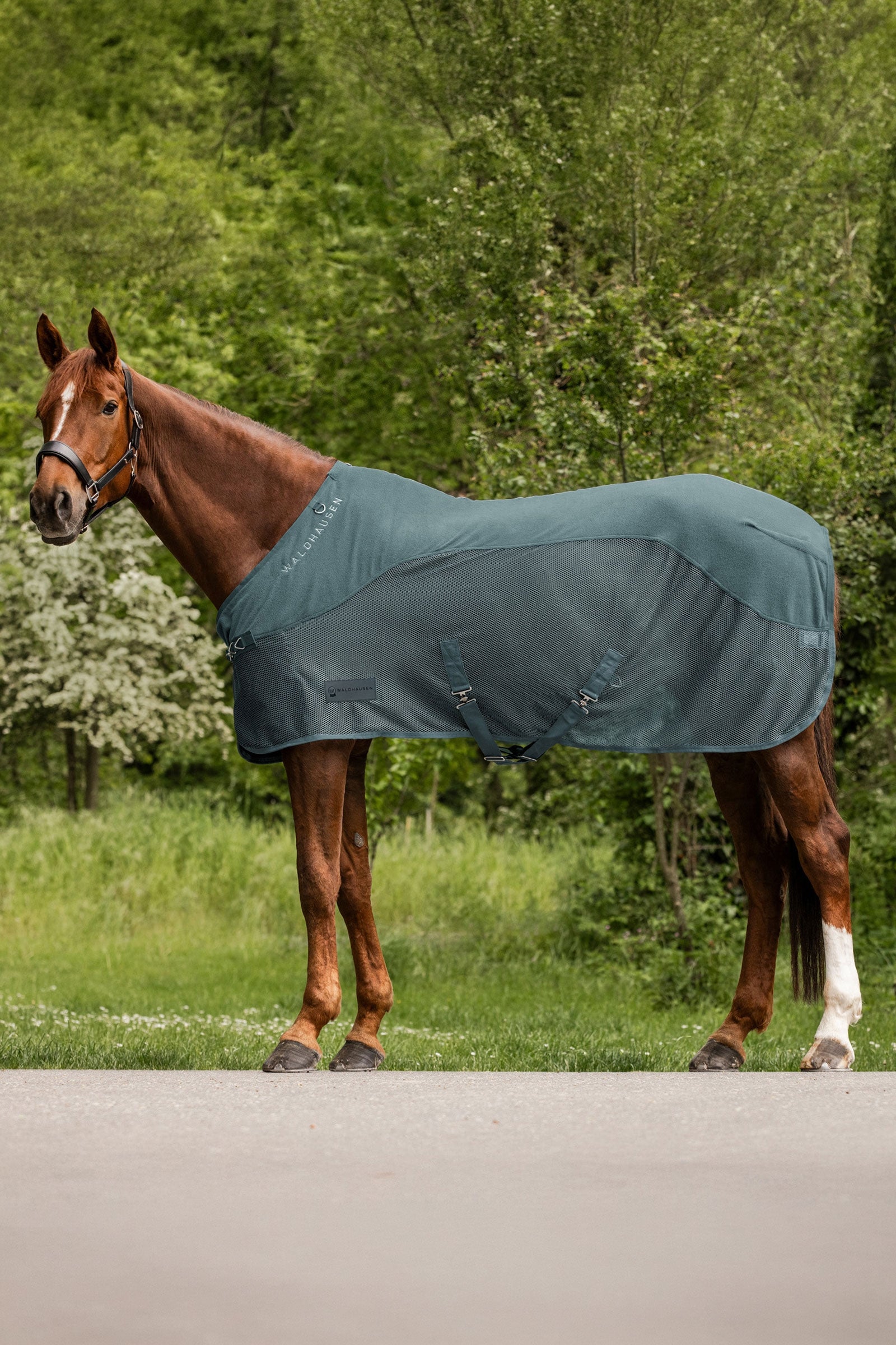 Waldhausen Comfort coperta anti-mosche in pile Coperte per cavalli