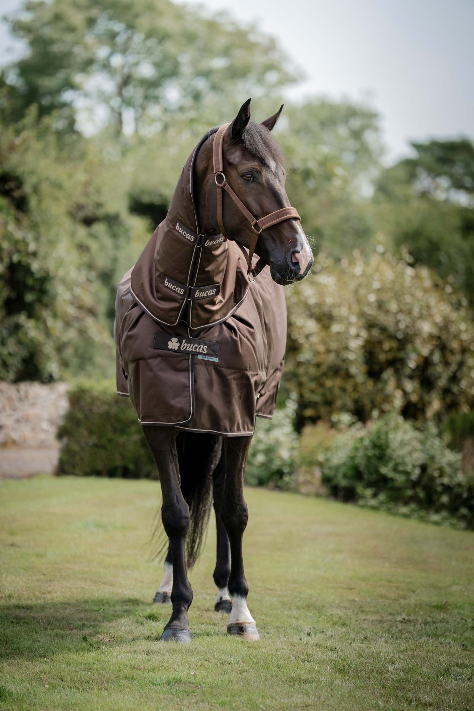Bucas Irish Turnout 50 g Rug & Neck Coperte per cavalli