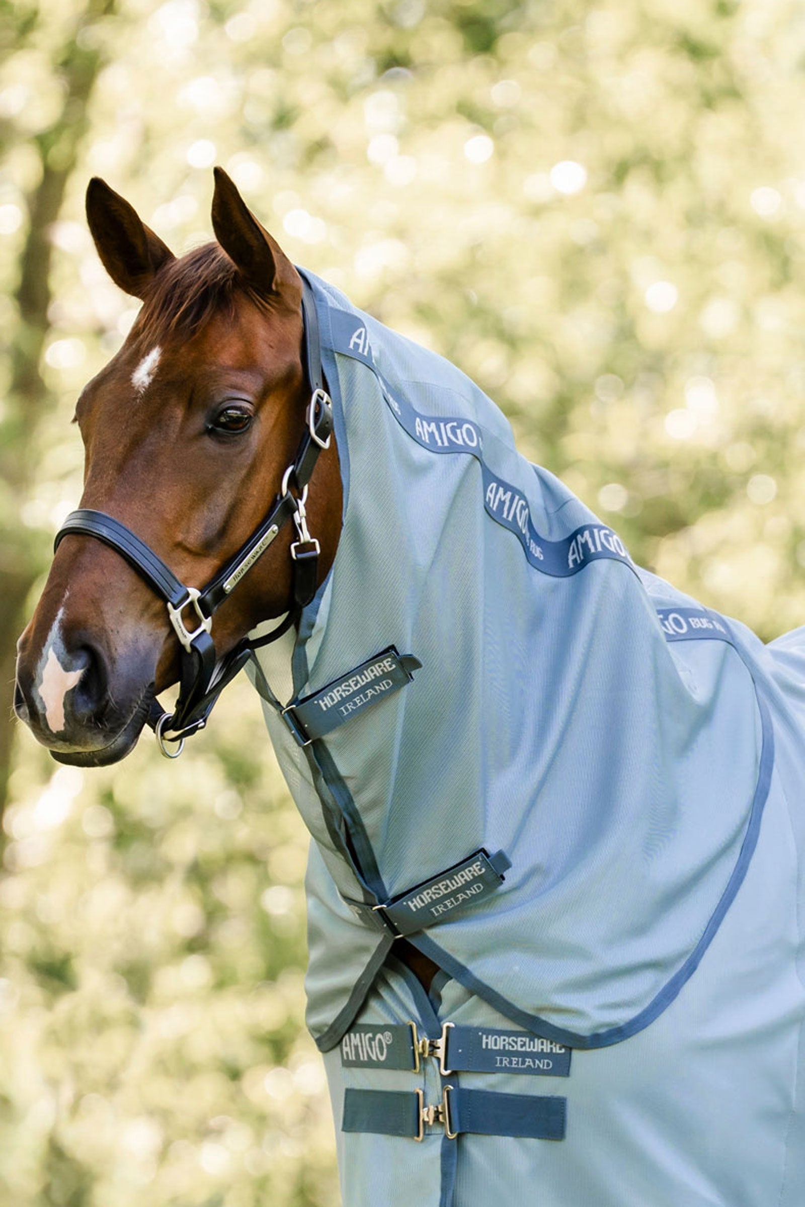 Horseware Amigo copricollo per coperta antimosche, protezione UV Coperte per cavalli