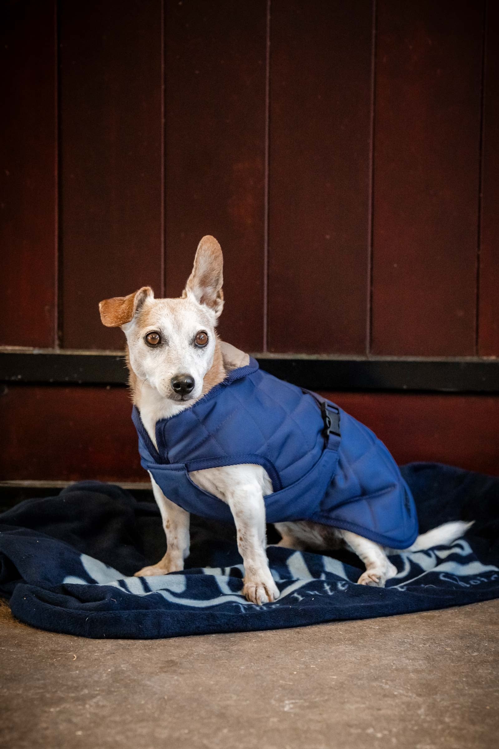 Bucas Cosy Dog Rug Cane