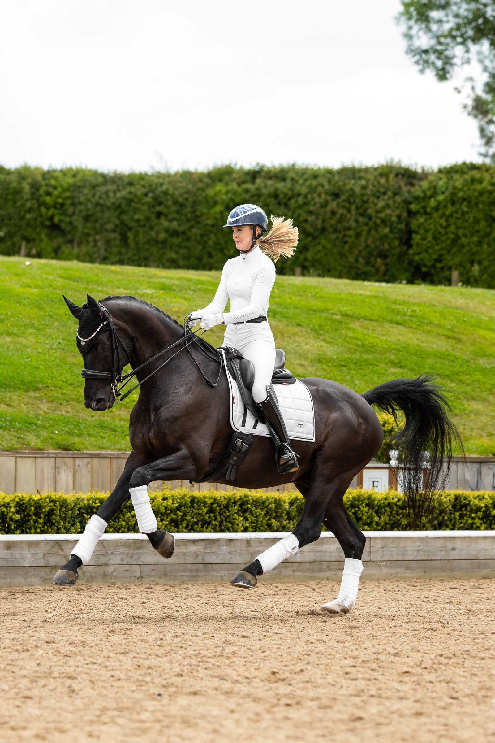 LeMieux Loire Classic Square Dressage Saddle Pad Saddle Pads