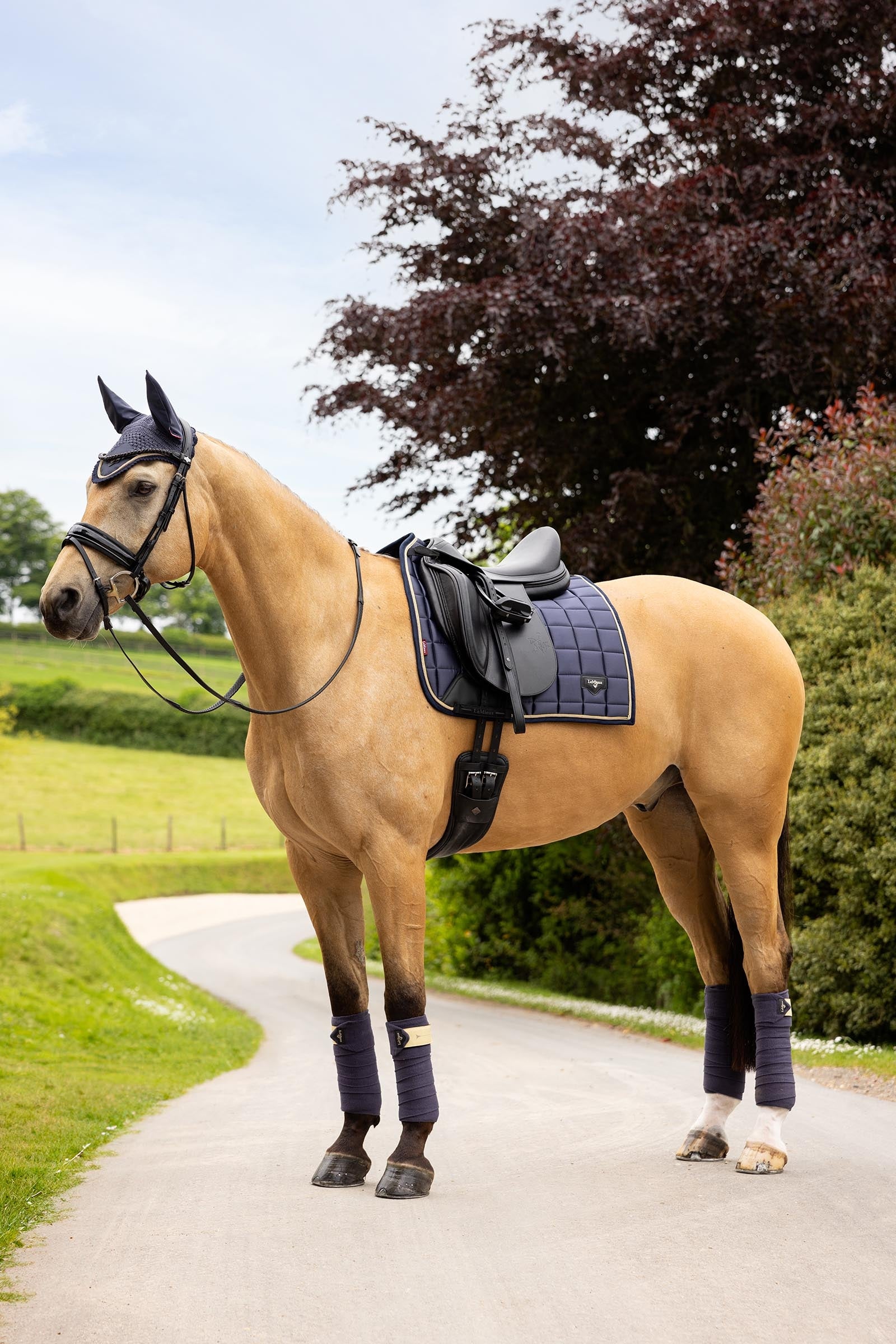 LeMieux Loire Classic Square Dressage Saddle Pad Saddle Pads