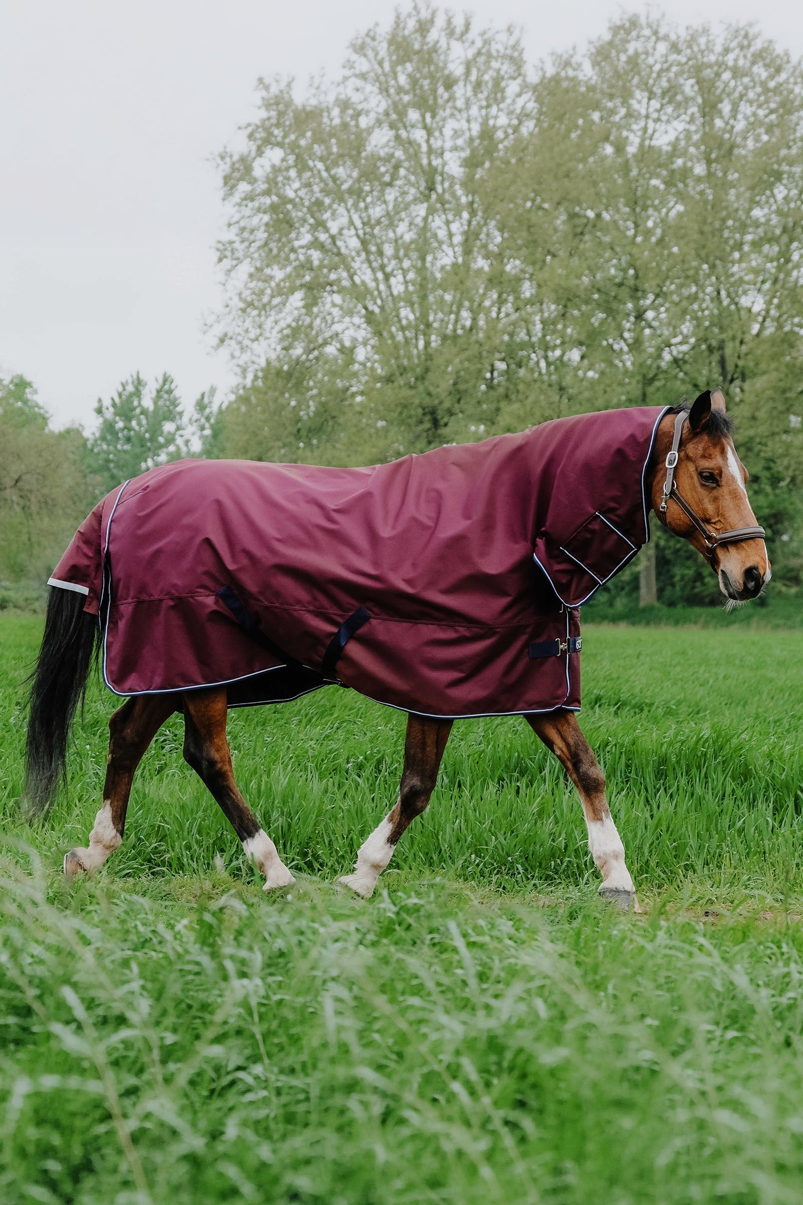 Equi Theme EQUITHÈME TYREX 1200D Combo Rug, 0 g Horse Rugs