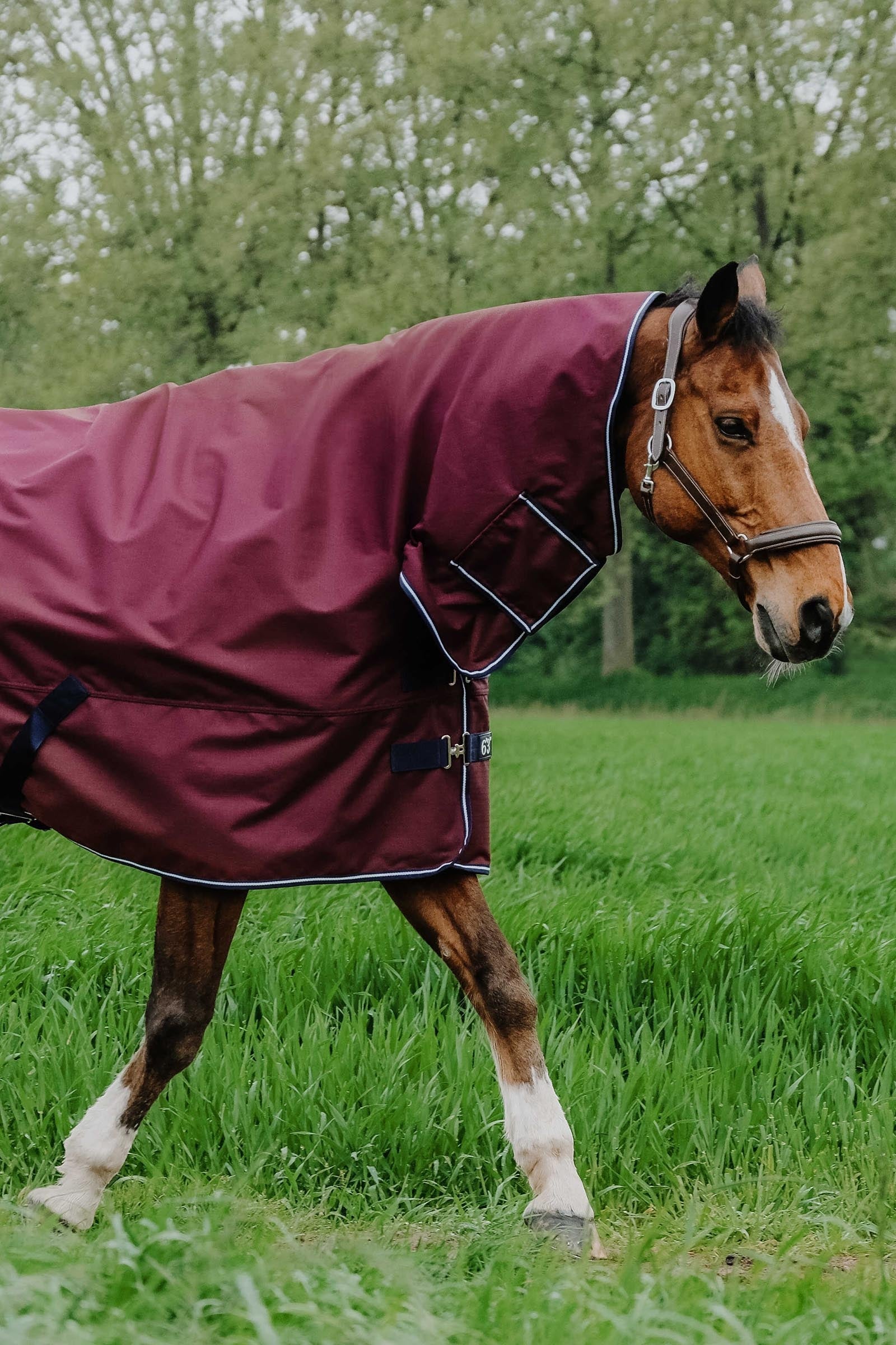 Equi Theme EQUITHÈME TYREX 1200D Combo Rug, 0 g Horse Rugs