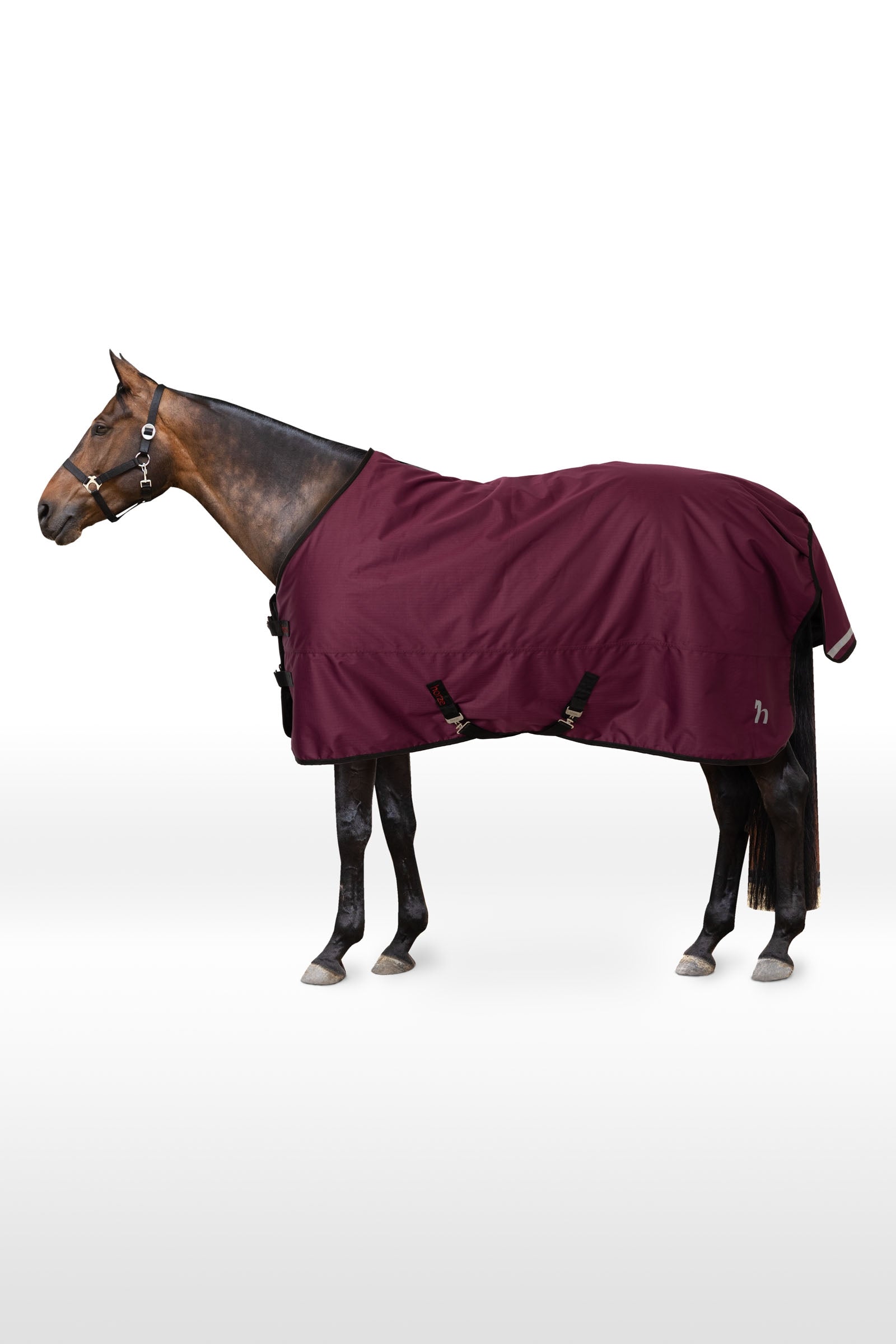 Horze Newbridge coperta da paddock, 100g Coperte per cavalli