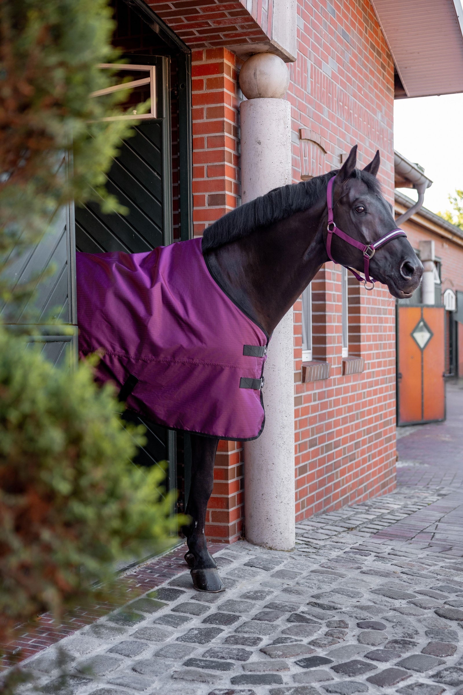 Horze Newbridge Turnout Rug, 100g Horse Rugs