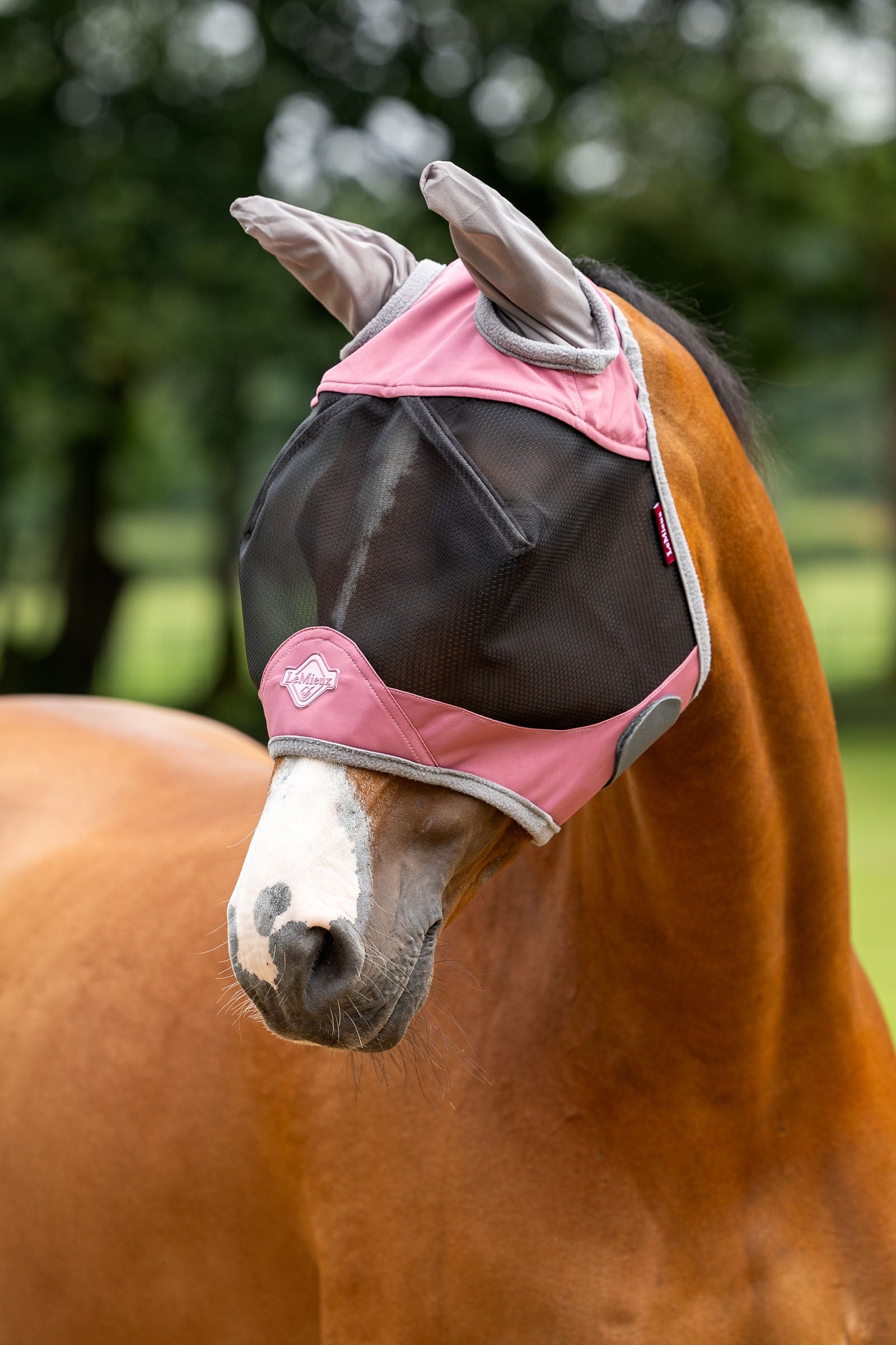 LeMieux Visor-Tek Half Fly Mask Antifly Protection for Horses