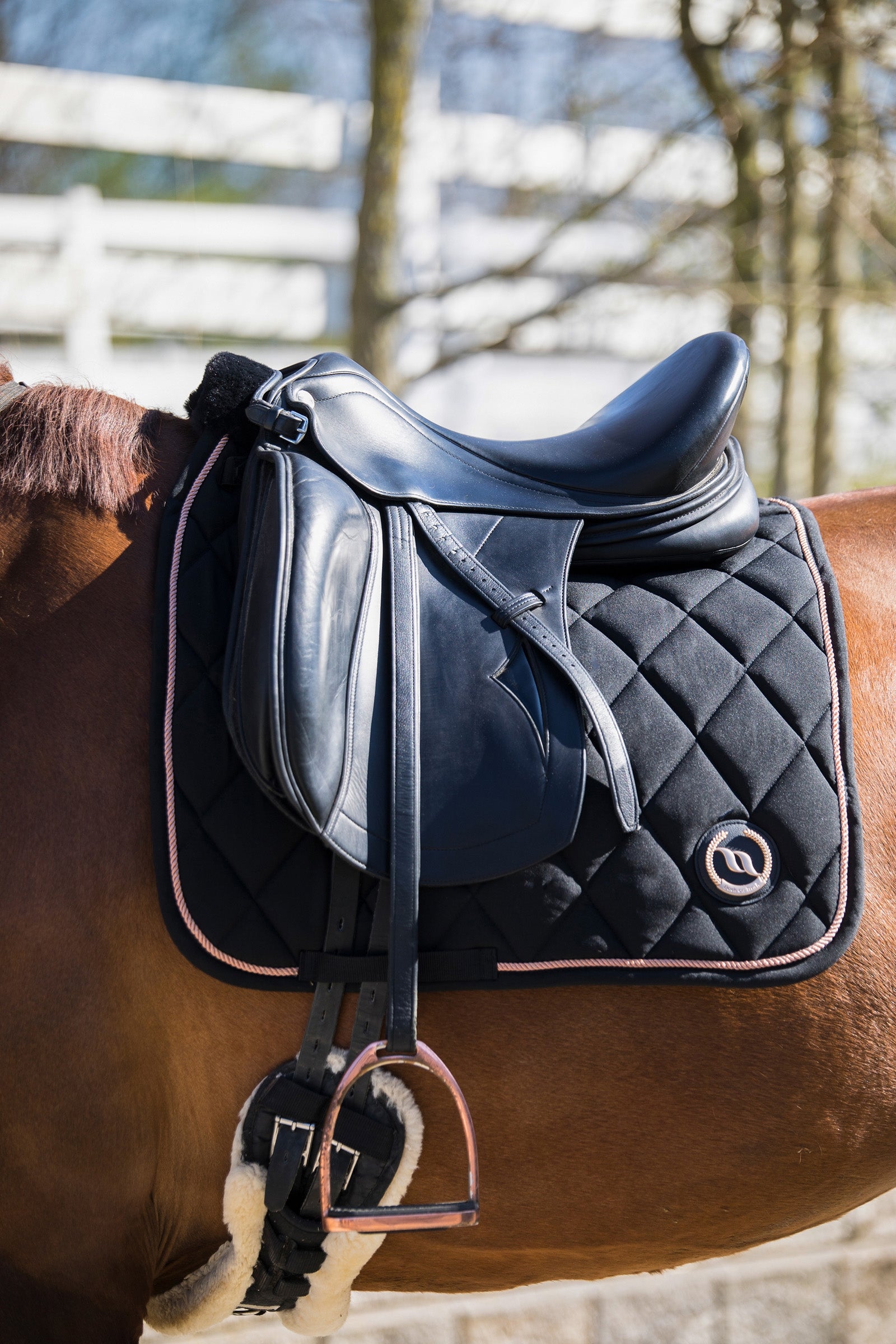 Back on Track Haze Collection Saddle Pad Dressage Saddle Pads