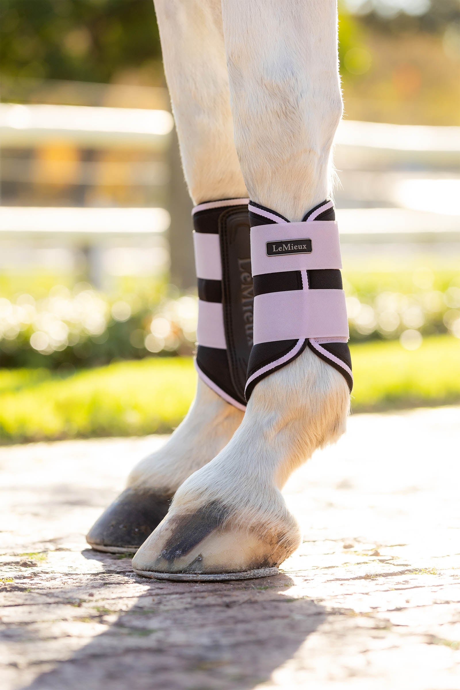 LeMieux Grafter Brushing Boots Leg Protection & Hoof Protection for Horses