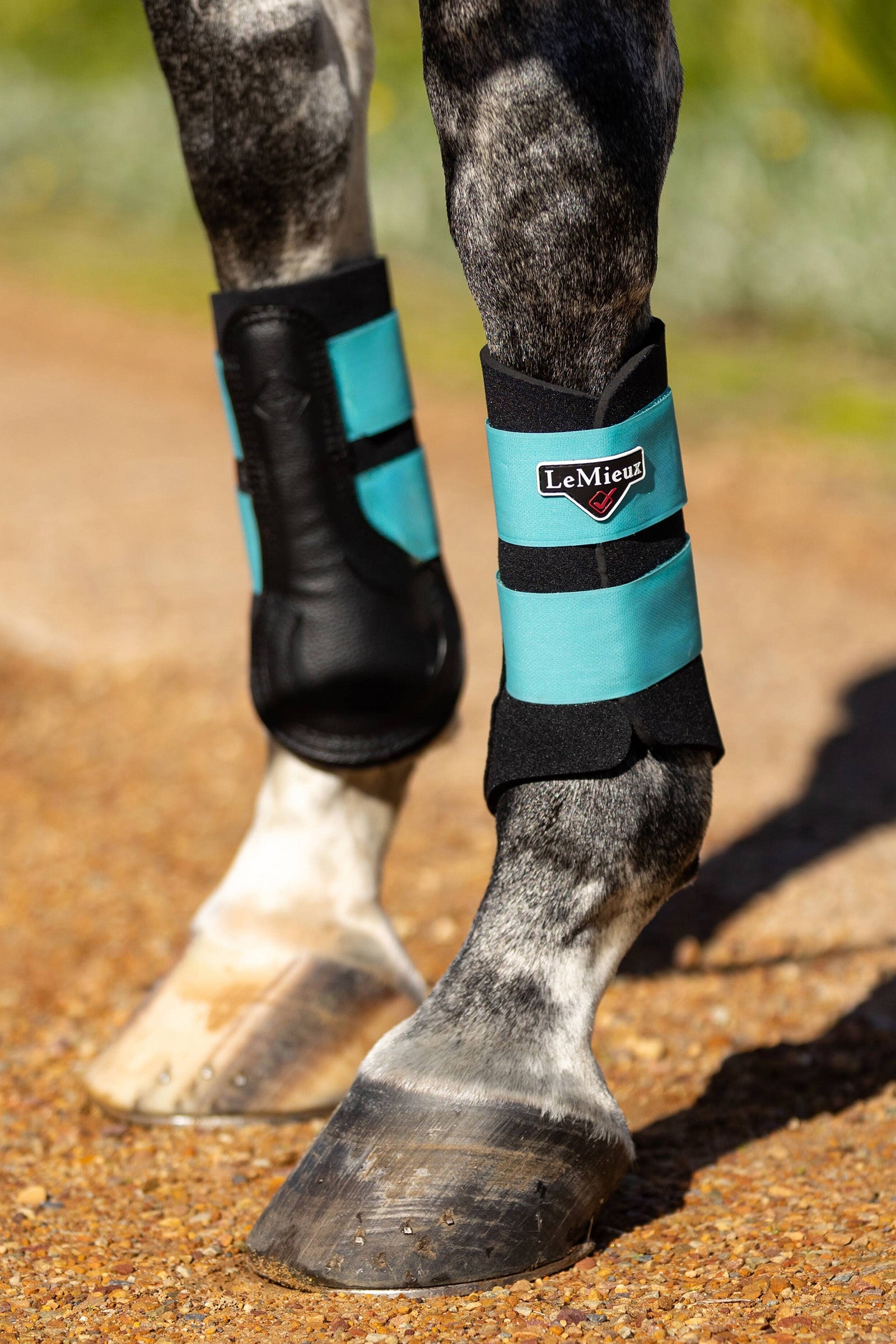 LeMieux Grafter Brushing Boots Leg Protection & Hoof Protection for Horses