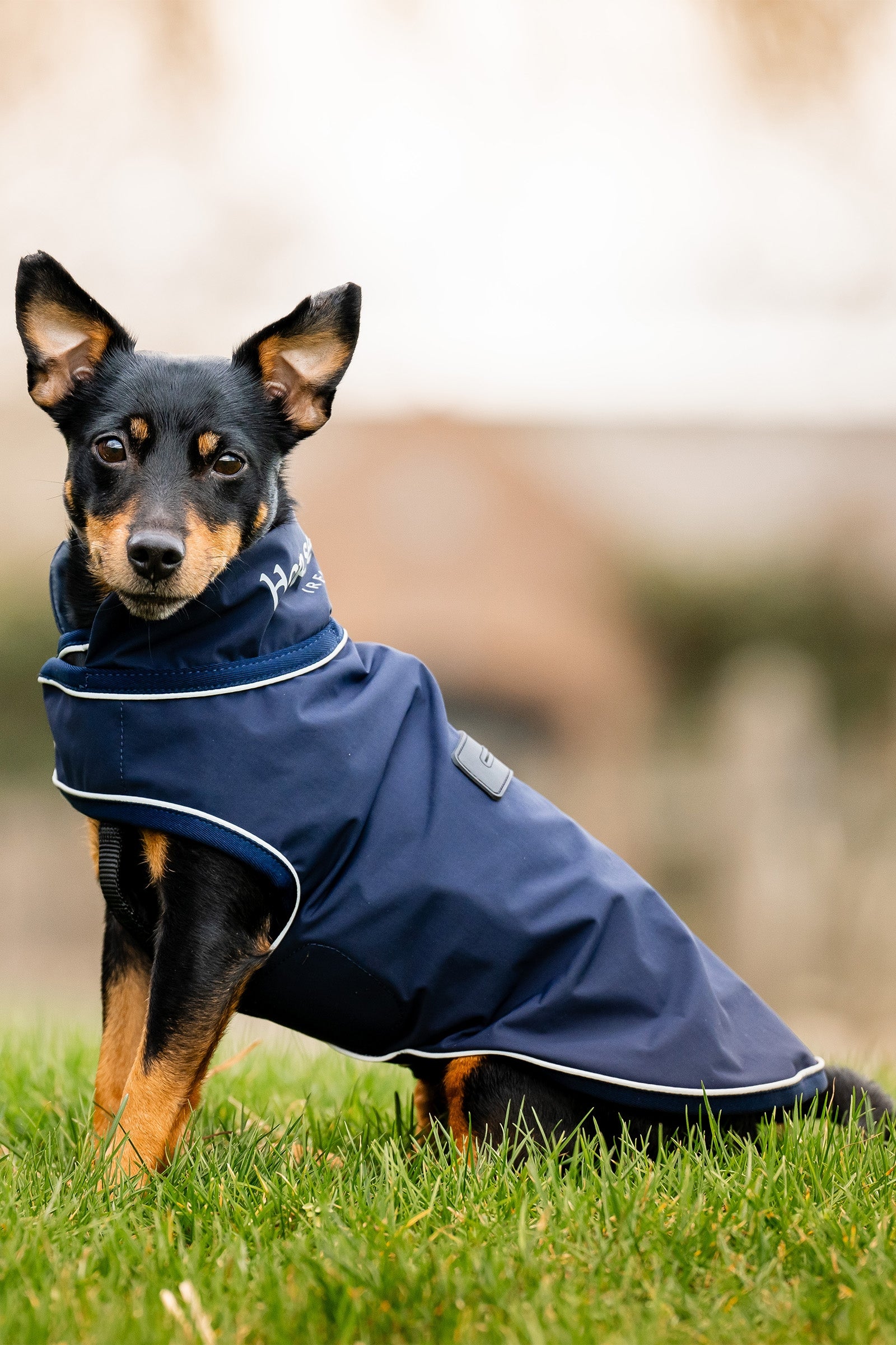 Horseware Signature Impermeabile per Cani Cane