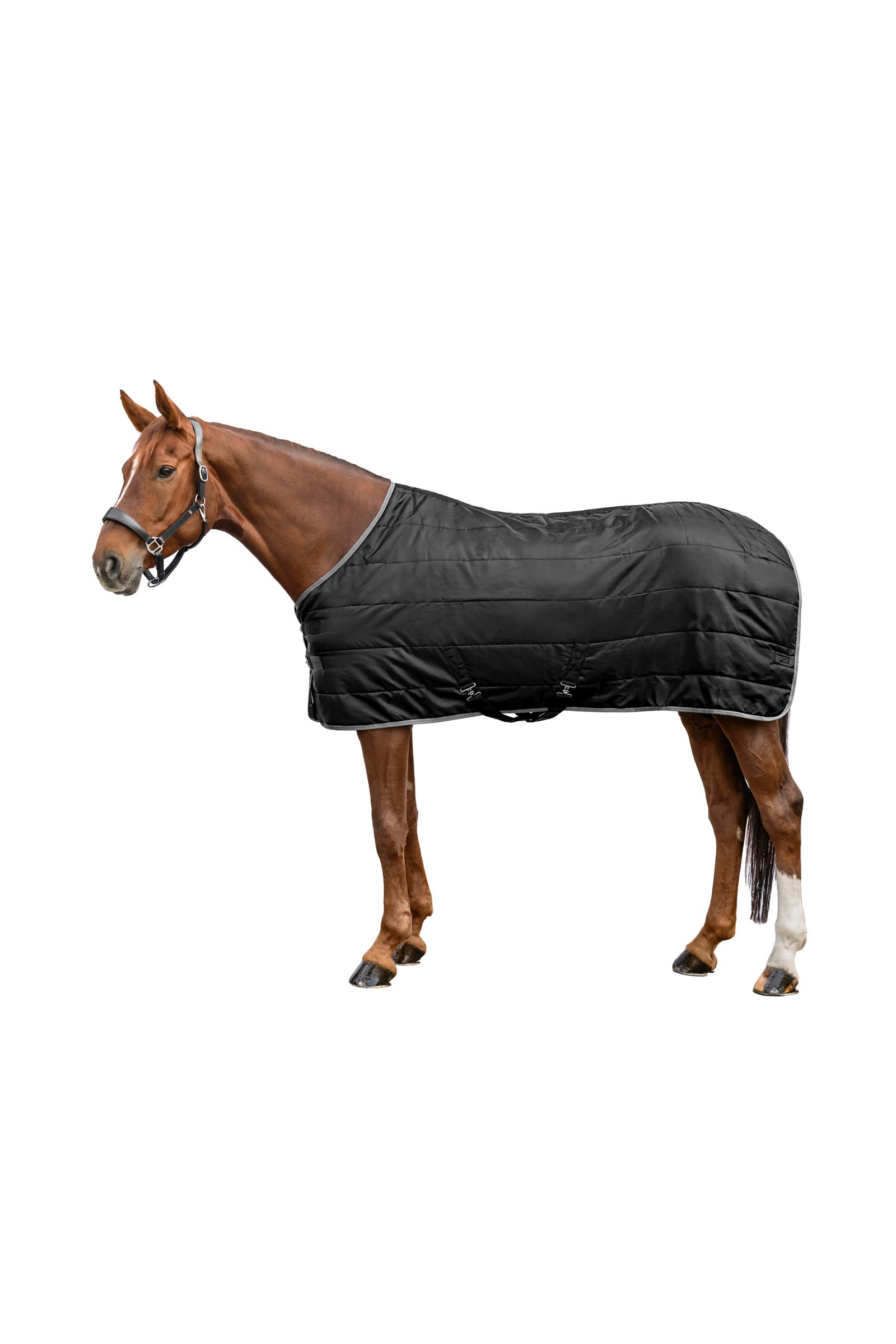 Waldhausen ECONOMIC 420D Coperta da Scuderia, 300 g Coperte per cavalli
