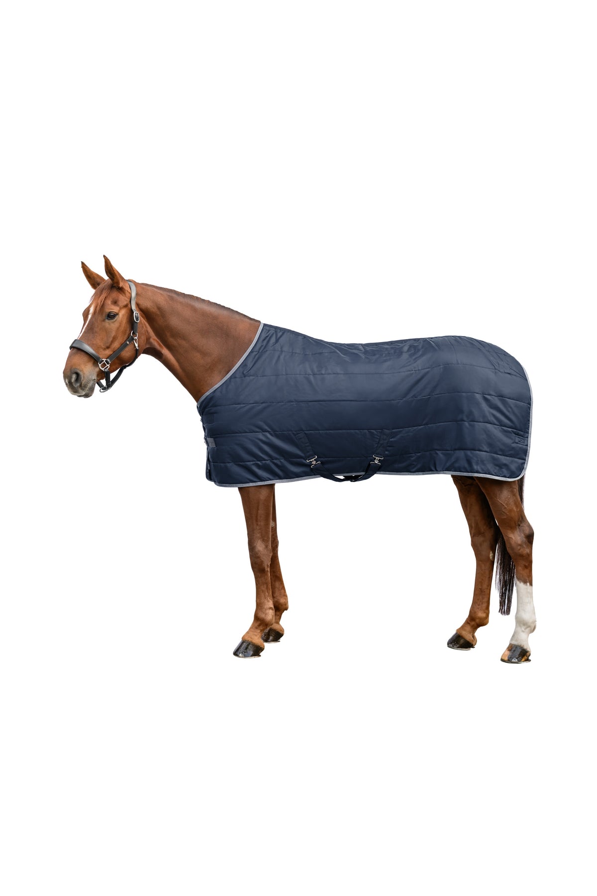 Waldhausen ECONOMIC 420D Coperta da Scuderia, 300 g Coperte per cavalli