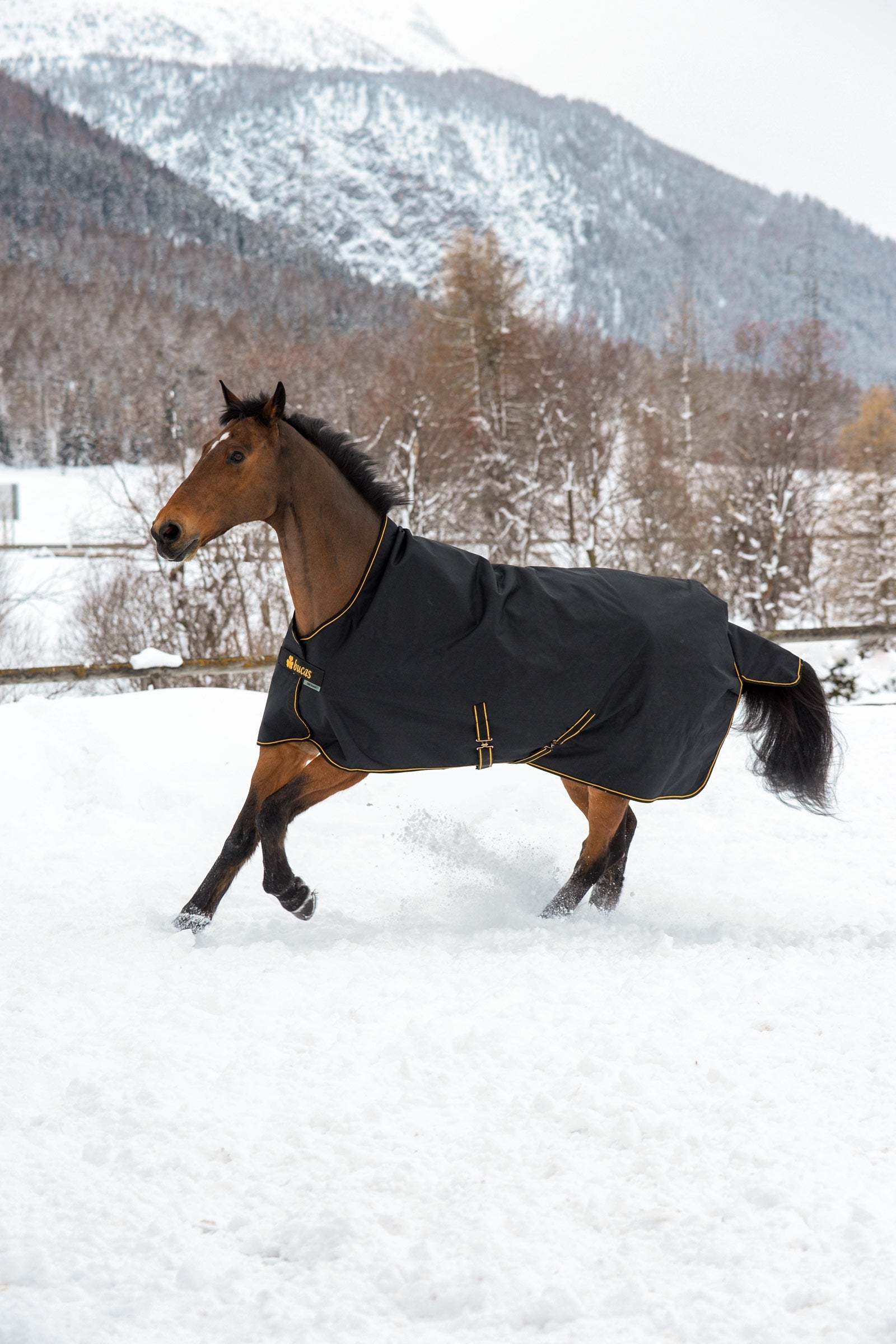 Bucas Irish coperta da esterno con collo alto, 300g Coperte per cavalli