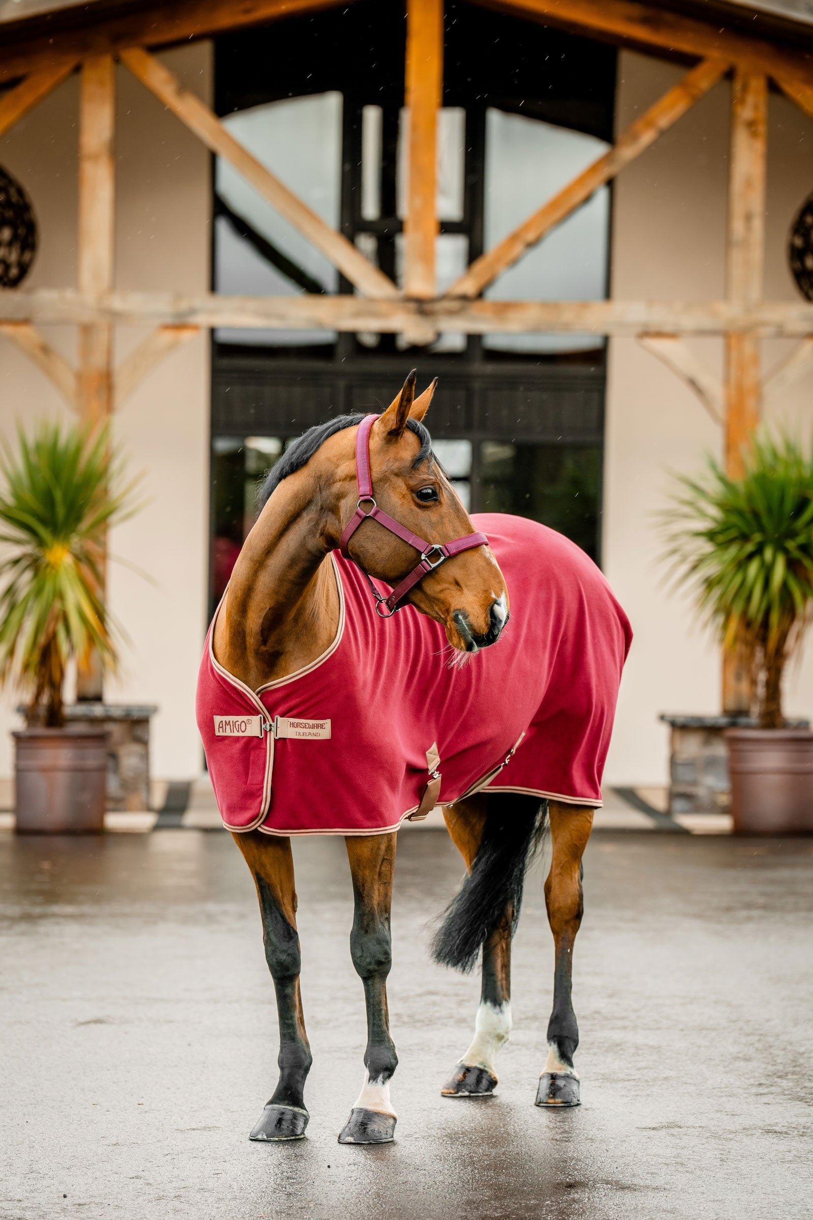 Horseware Amigo Coperta in Pile Coperte per cavalli