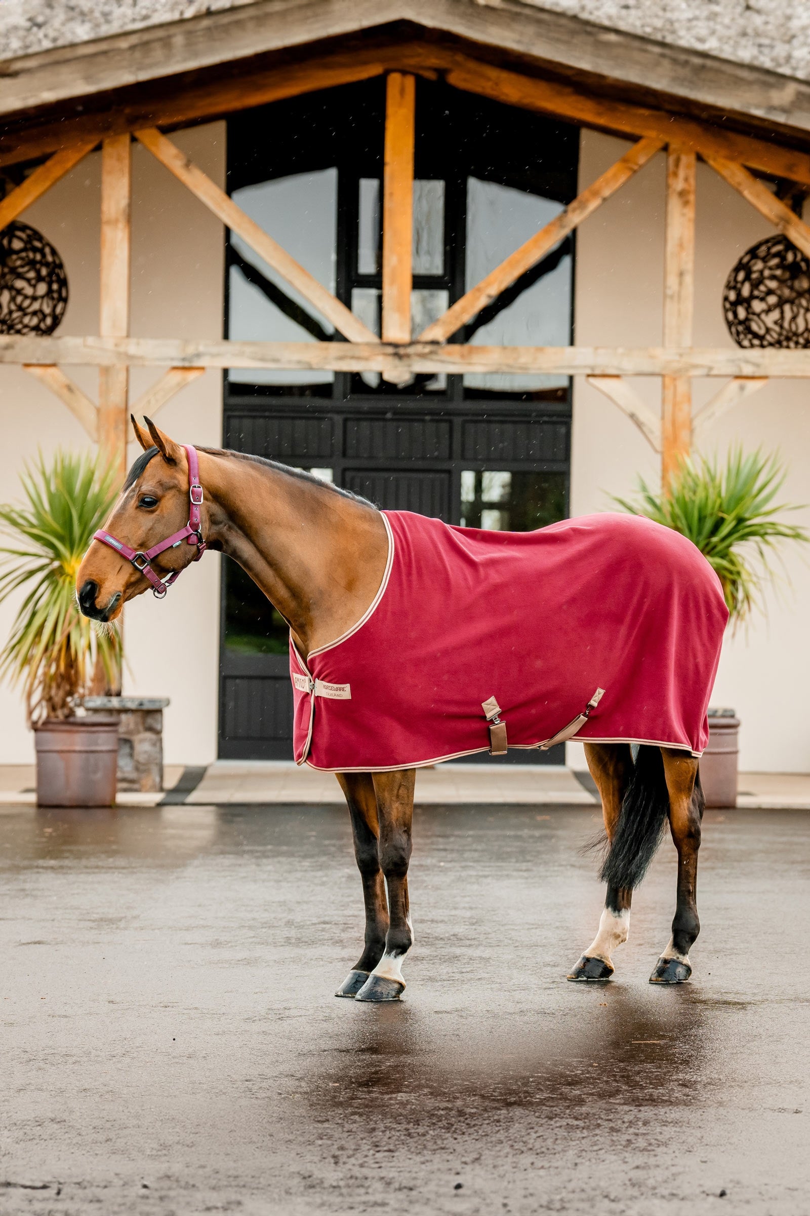 Couverture polaire Amigo Fleece Cooler mulberry et taupe 0g Horseware | OHLALA Couverture polaire Amigo Fleece Cooler mulberry et taupe 0g Horseware | OHLALA