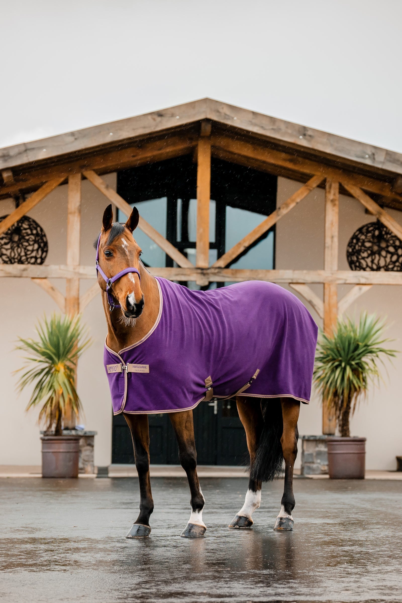 Horseware Amigo Coperta in Pile Coperte per cavalli