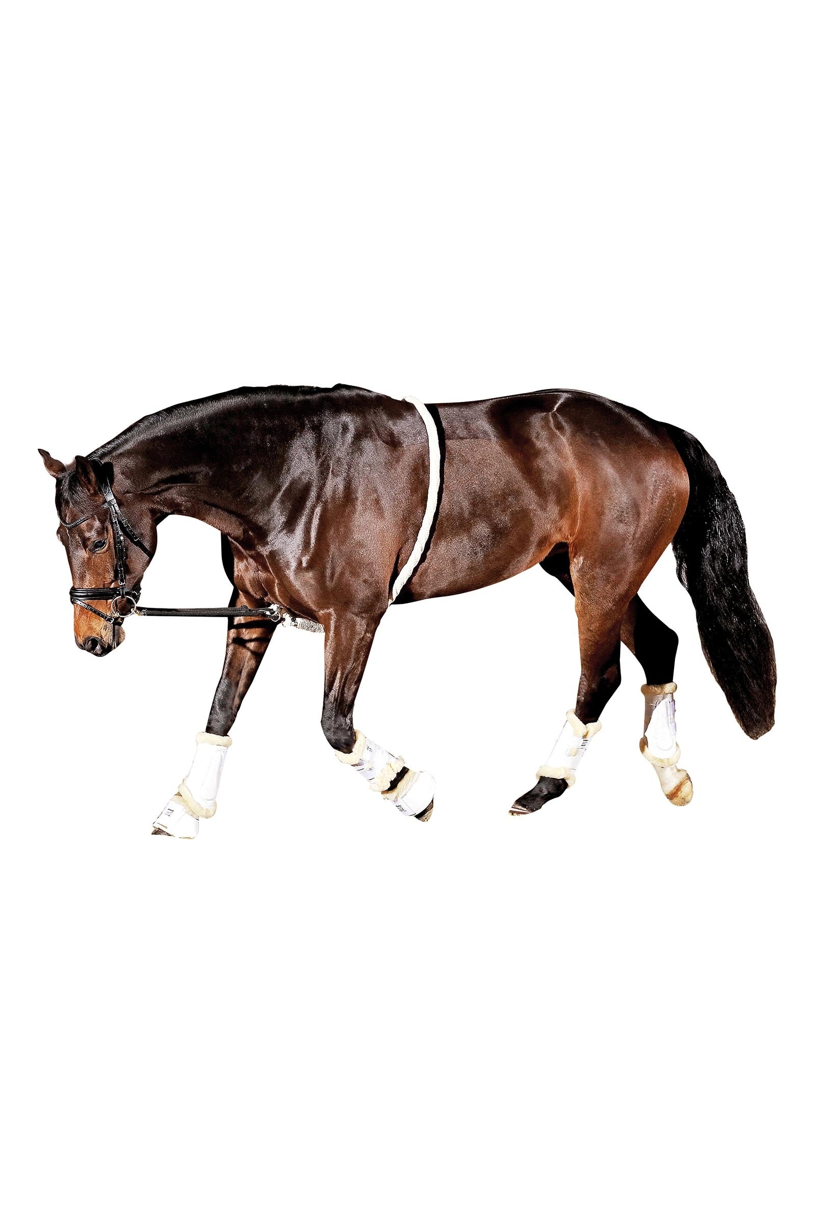 Horse Guard HorseGuard Soft Lunging Aid Addestramento del cavallo