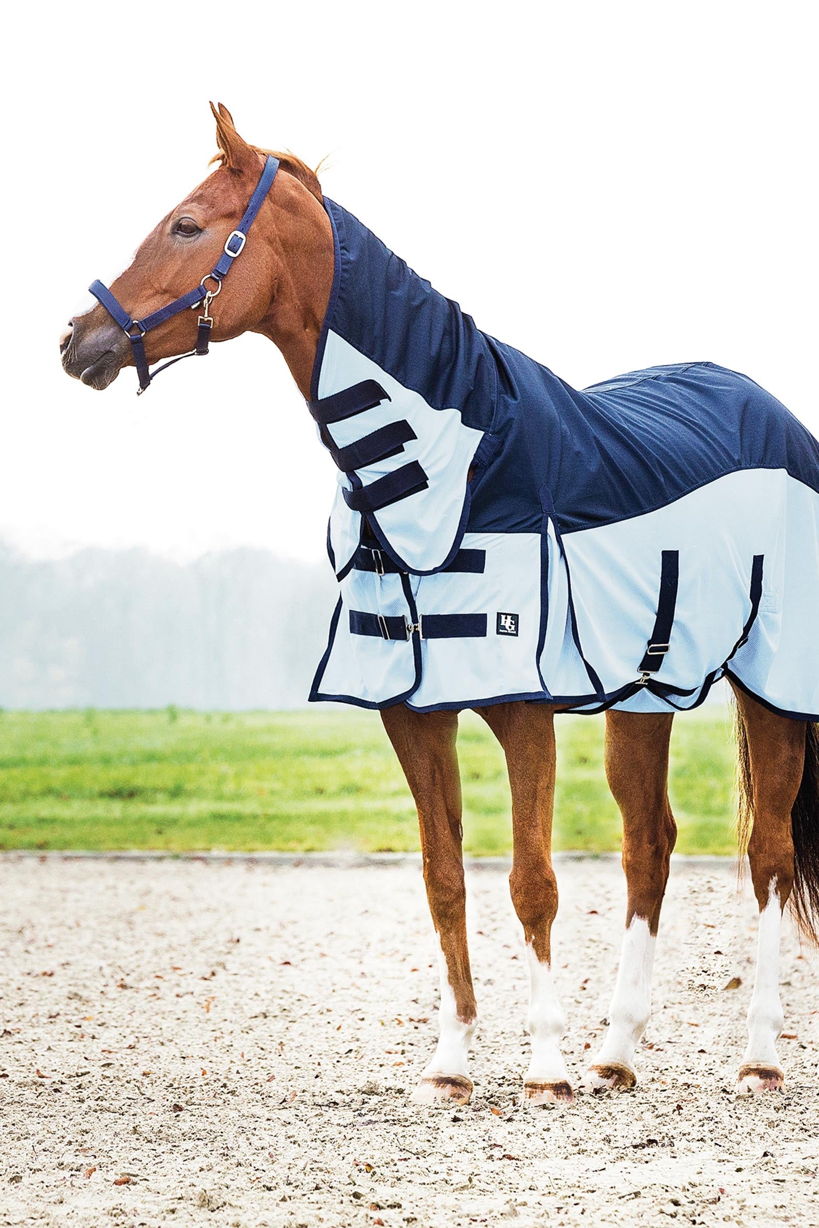 Horse Guard HorseGuard Aiman Rain & Insect Rug Coperte per cavalli