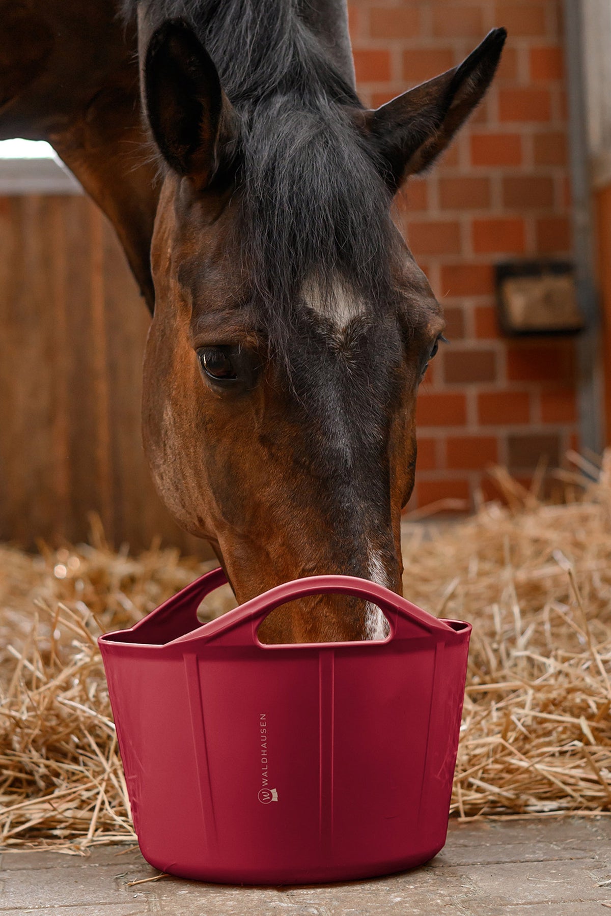 Waldhausen Flexi Bowl, 17 L Horse Feeders & Waterers