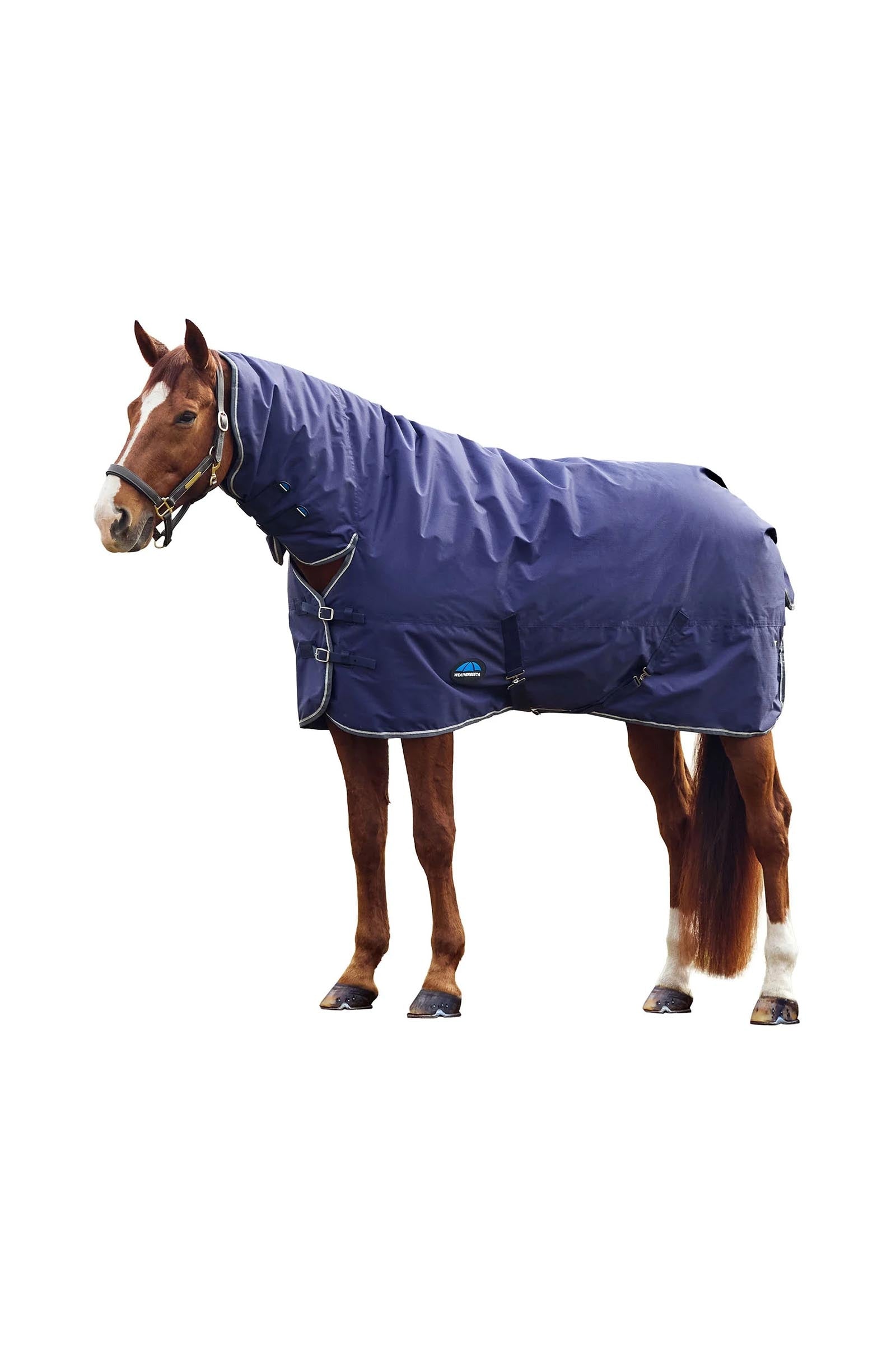 Weatherbeeta Comfitec Tyro Turnout Rug Combo Neck 220g Coperte per cavalli