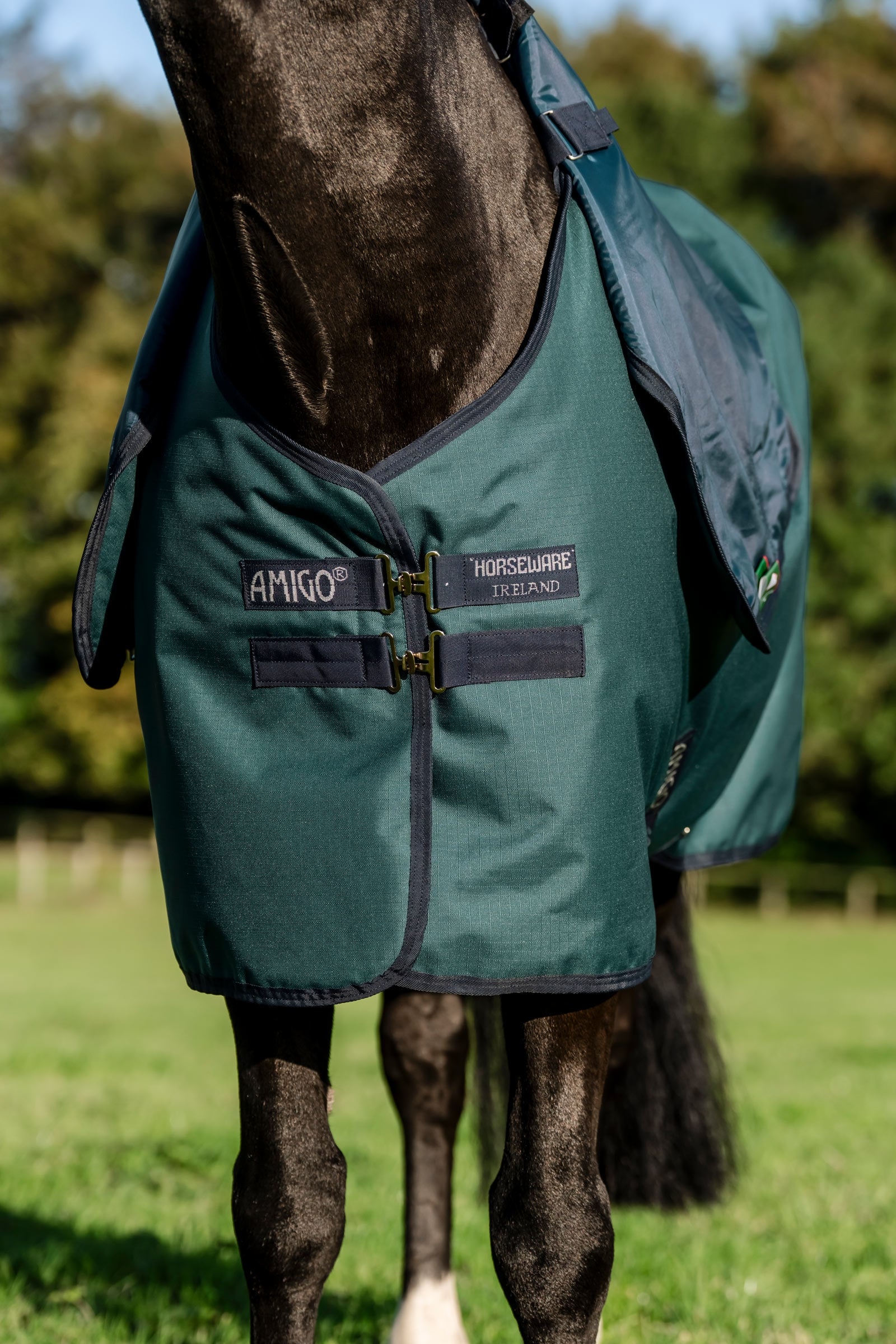 Horseware Amigo Ripstop 900D Plus Pony Turnout Rug, 0 g Horse Rugs