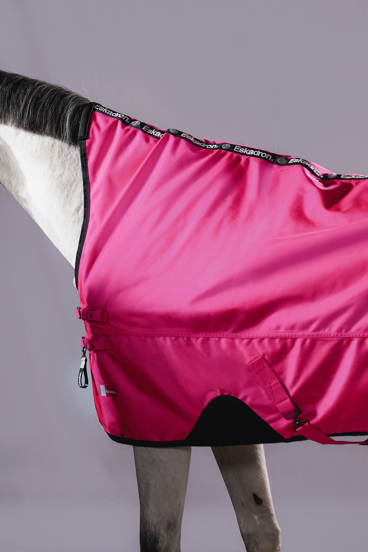 Eskadron Dynamic AW26 Beta 1680D 50g Turnout Rug Horse Rugs