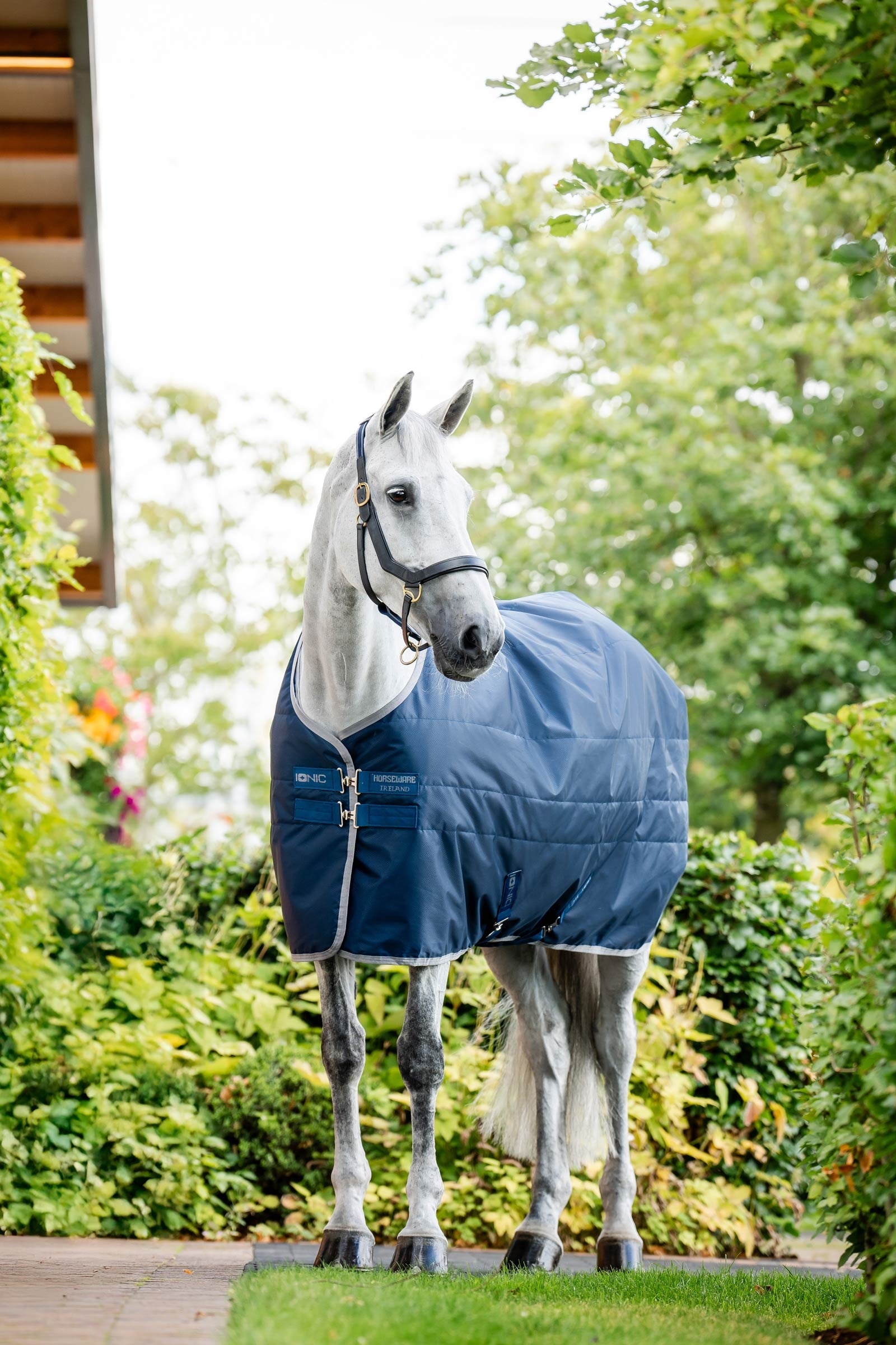 Horseware Ionic Therapy Coperta da stalla, 50g Coperte per cavalli