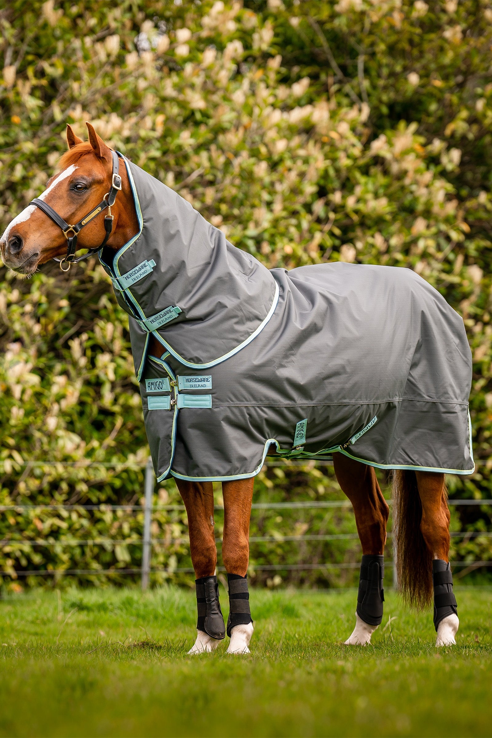 Horseware Amigo Hero Ripstop Plus coperta da turnout con collo staccabile, 200g Coperte per cavalli