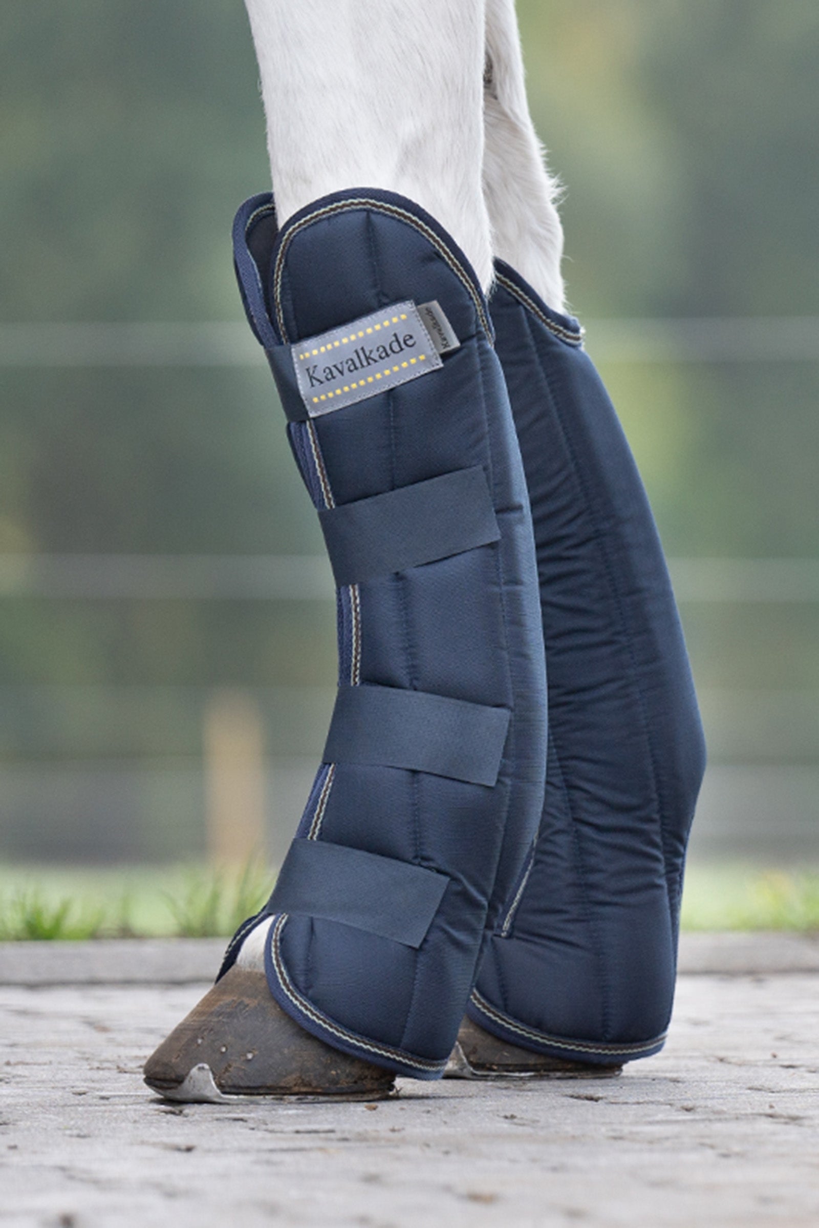 Kavalkade Montreal Transport Boots, front (1 Pair) Leg Protection & Hoof Protection for Horses