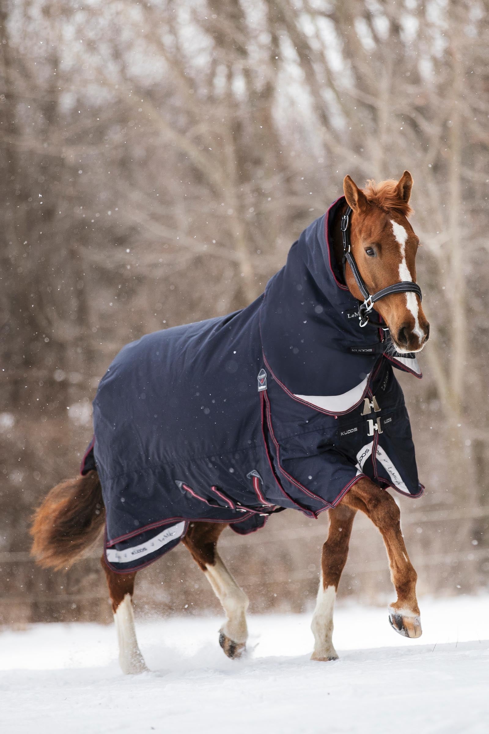 LeMieux Kudos Turnout Rug, 200 g Coperte per cavalli