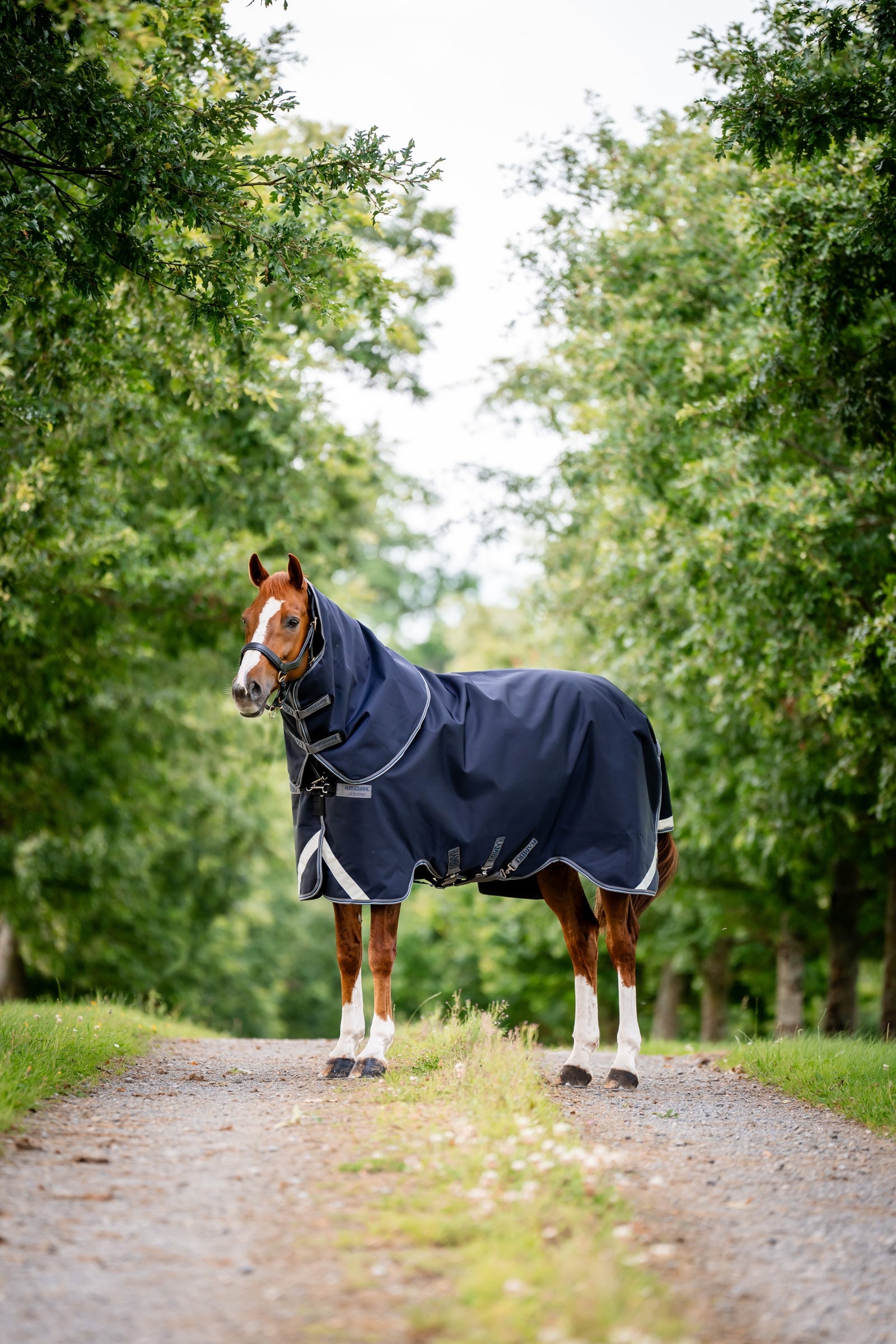 Horseware Rambo 1680D Plus Vario Layer coperta da esterno, 250 g Coperte per cavalli