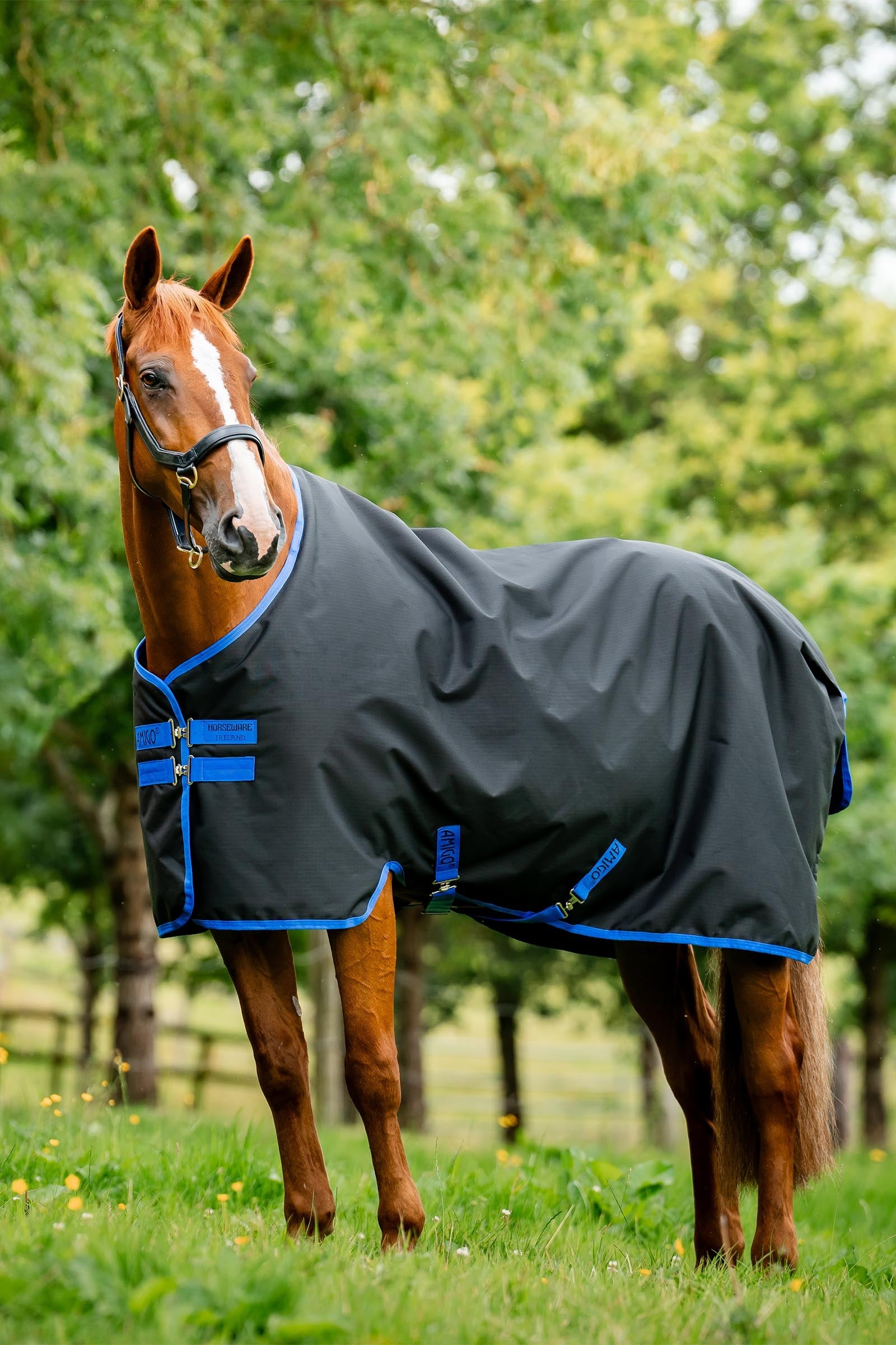 Horseware Amigo Ripstop 900D coperta da esterno con fodera in pile, 50 g Coperte per cavalli