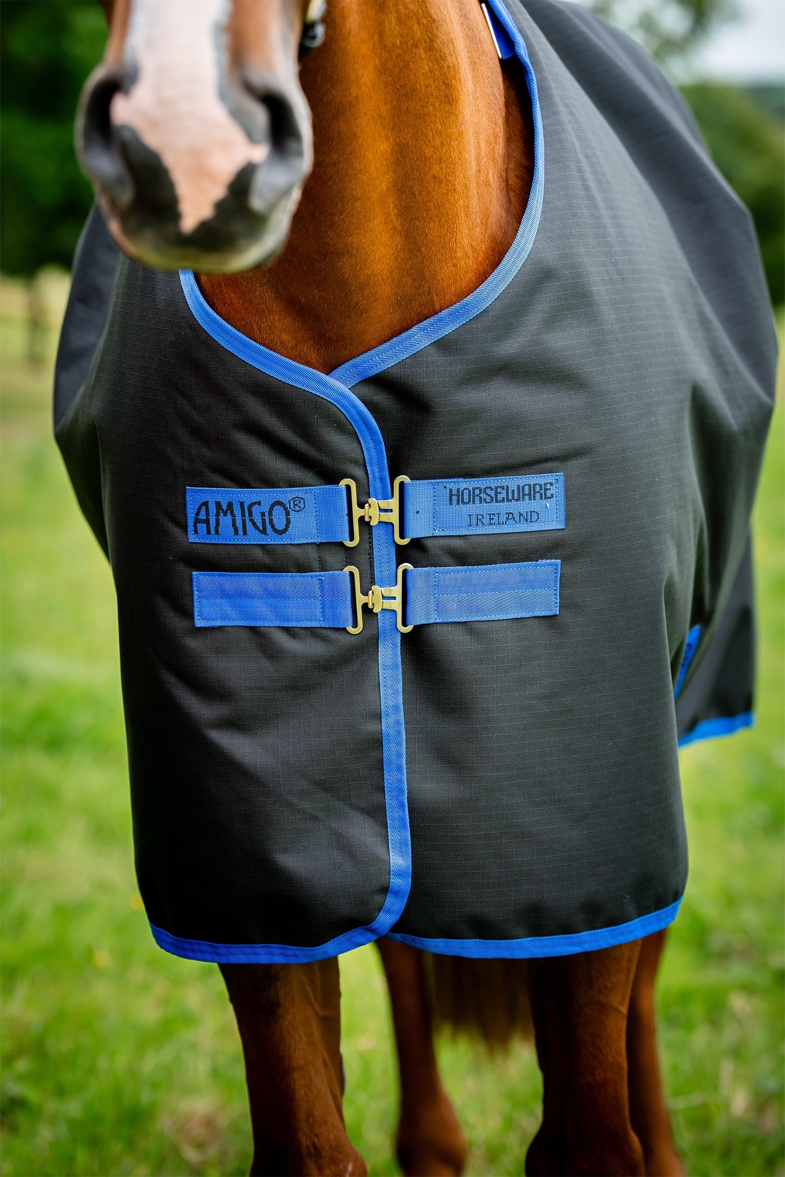 Horseware Amigo Ripstop 900D Fleece Lined Turnout Rug, 50 g Horse Rugs