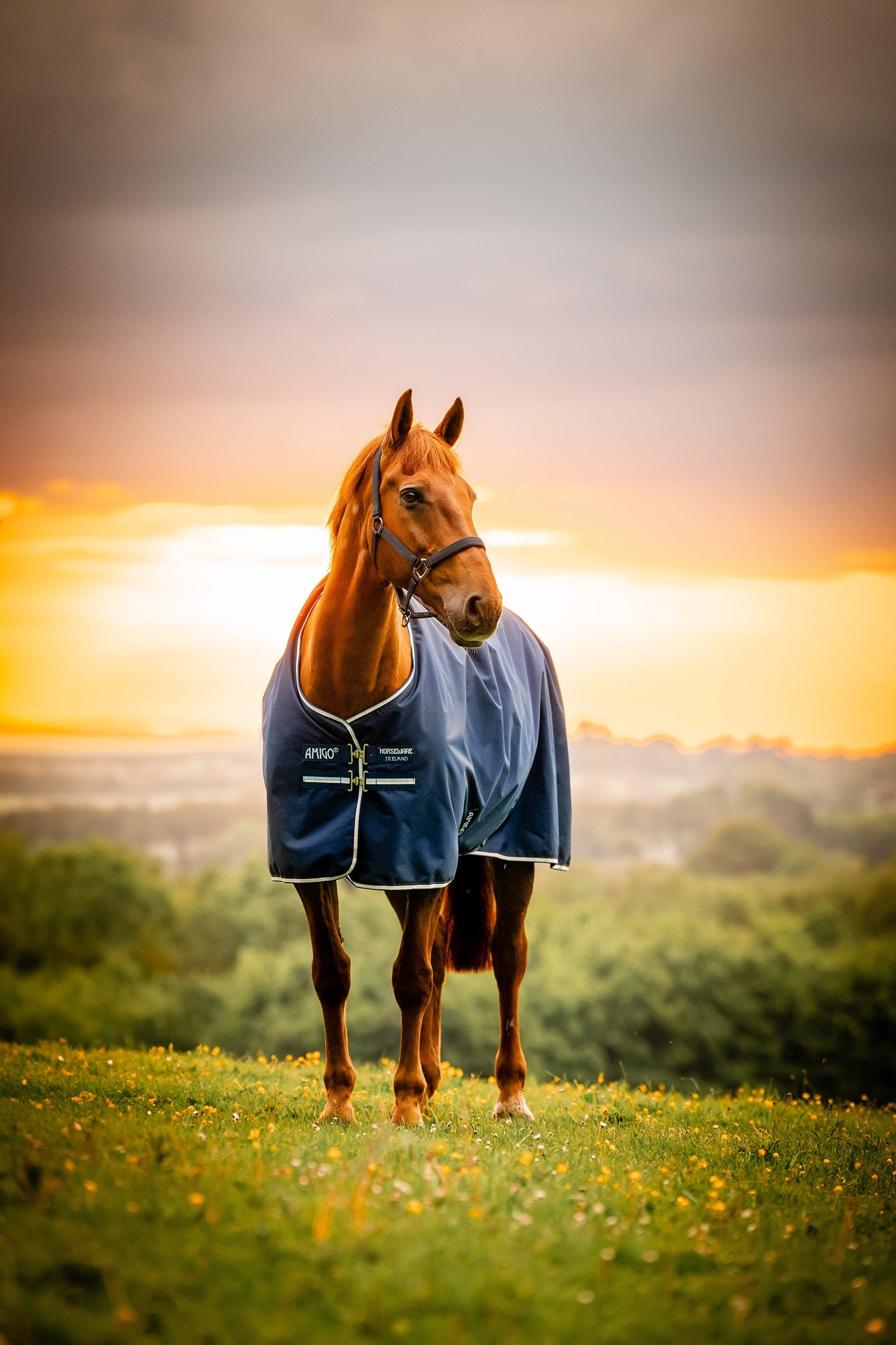 Horseware Amigo Ripstop 900D coperta da esterno con fodera in pile, 50 g Coperte per cavalli