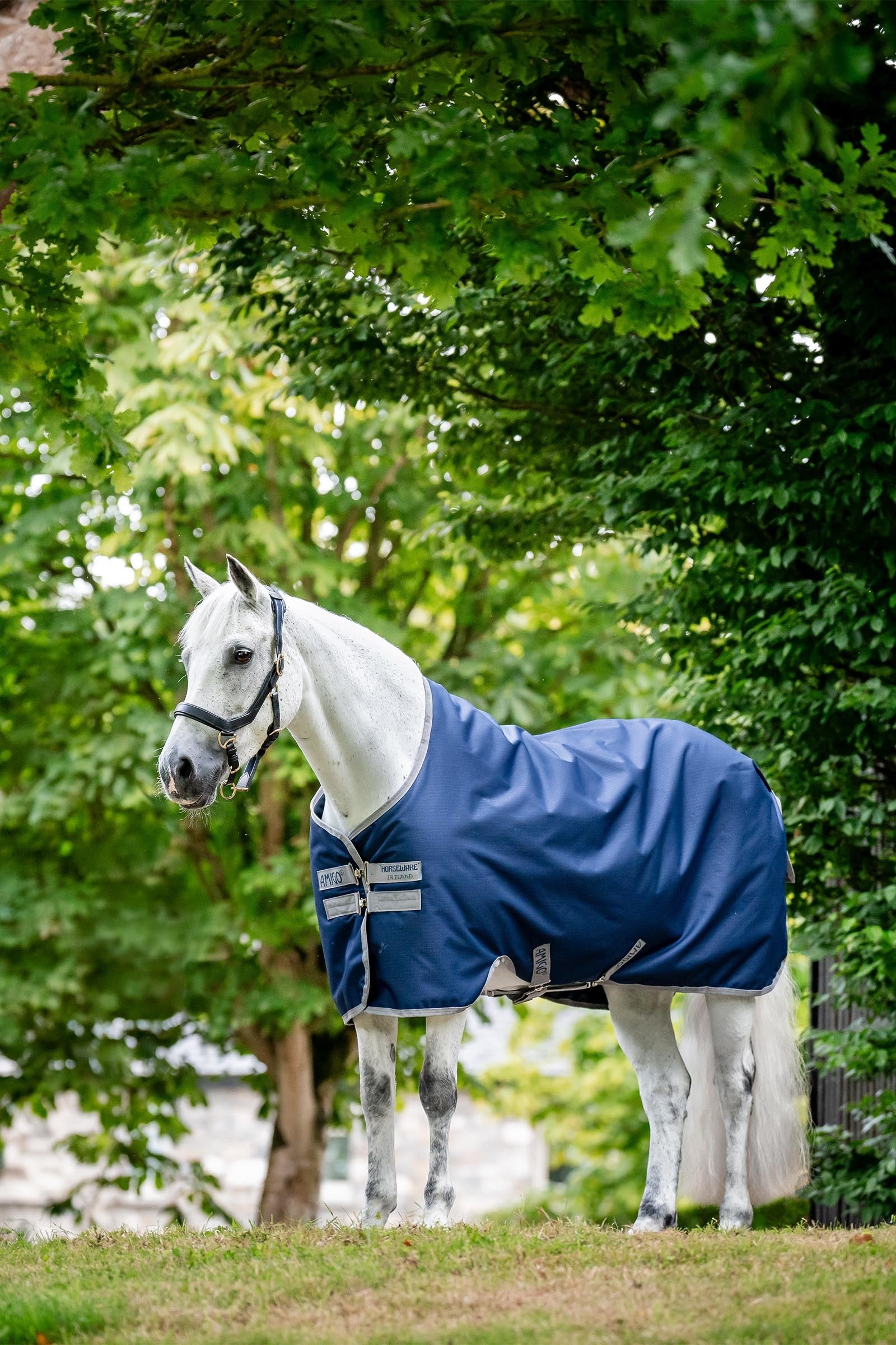 Horseware Amigo Ripstop 900D coperta da esterno con fodera in pile, 50 g Coperte per cavalli