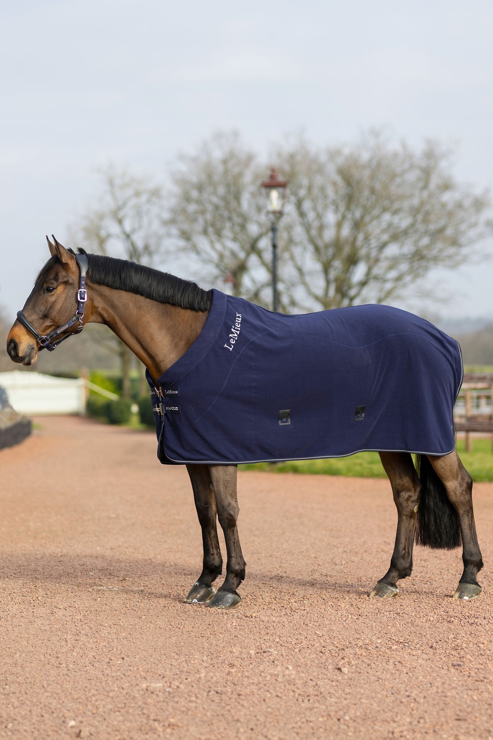 LeMieux Kudos Fleece Cooler Rug Horse Rugs