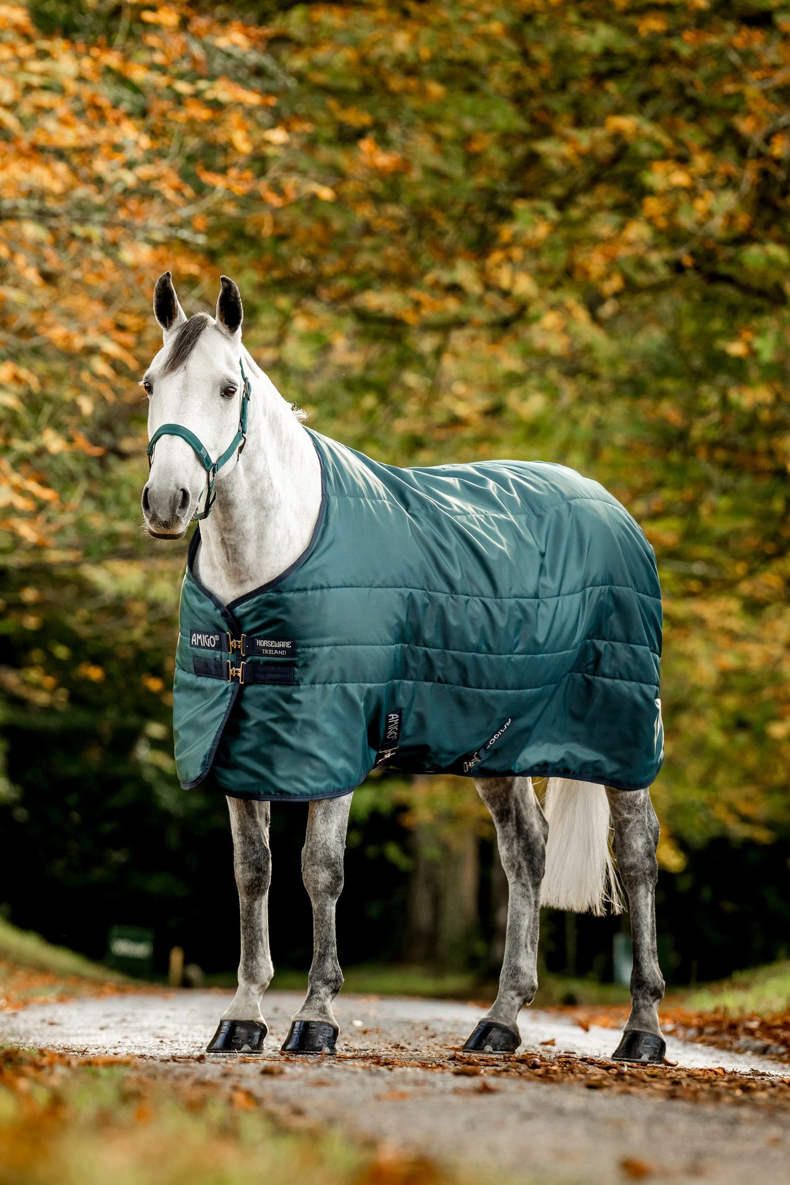 Horseware Amigo Ripstop Insulator Coperta da stalla, 50g Coperte per cavalli