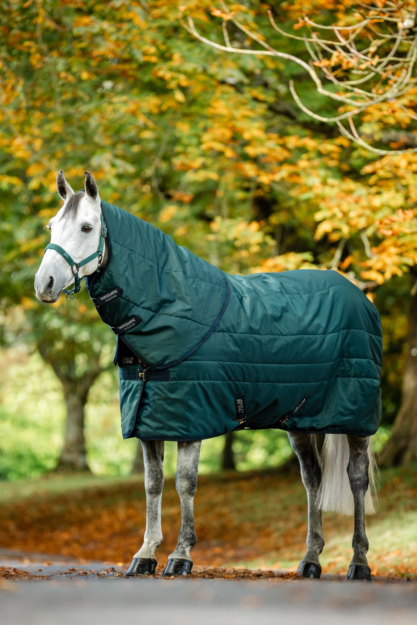 Horseware Amigo Ripstop Insulator Coperta da stalla, 50g Coperte per cavalli
