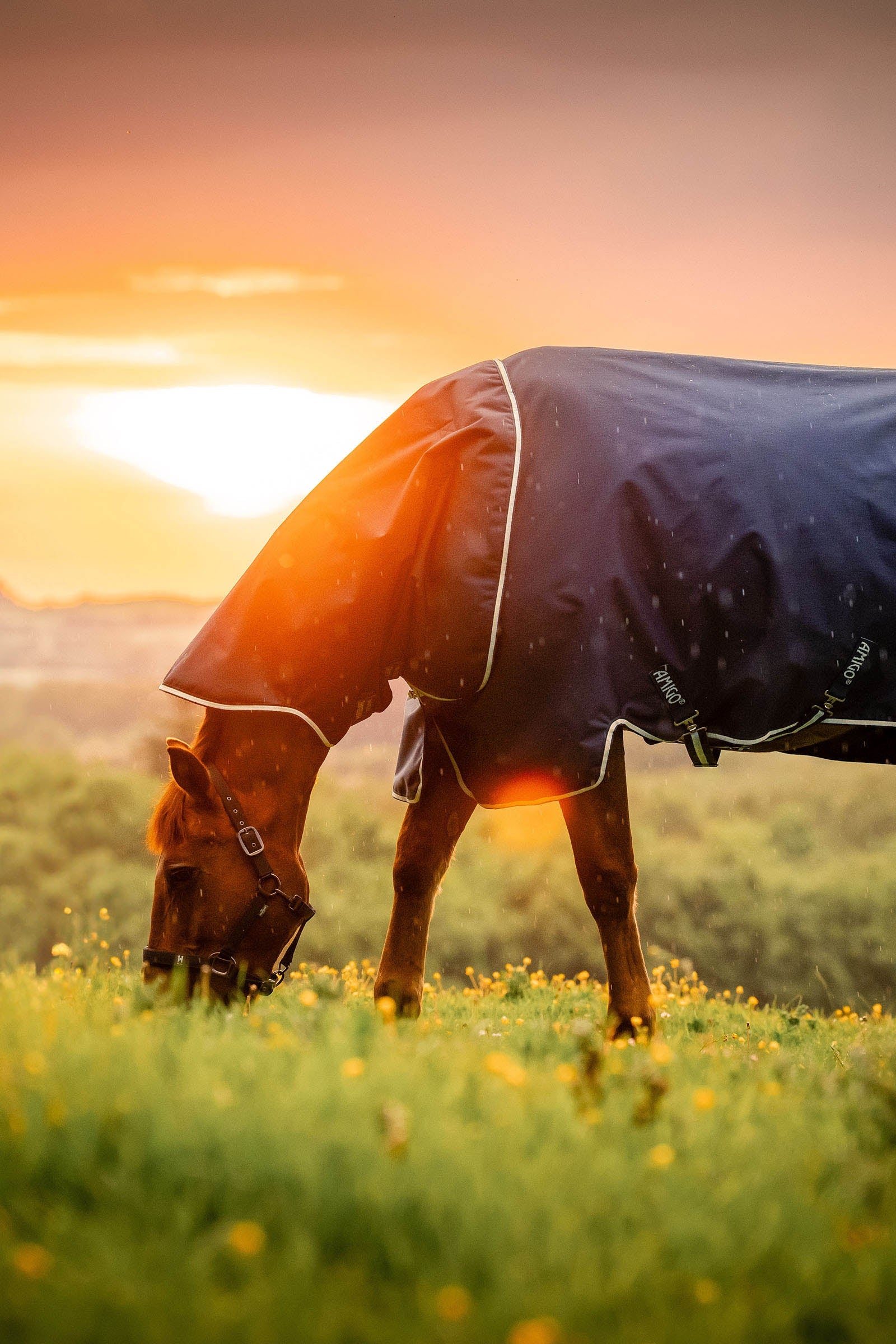 Horseware Amigo Ripstop 900D Plus coperta da esterno, 200 g Coperte per cavalli