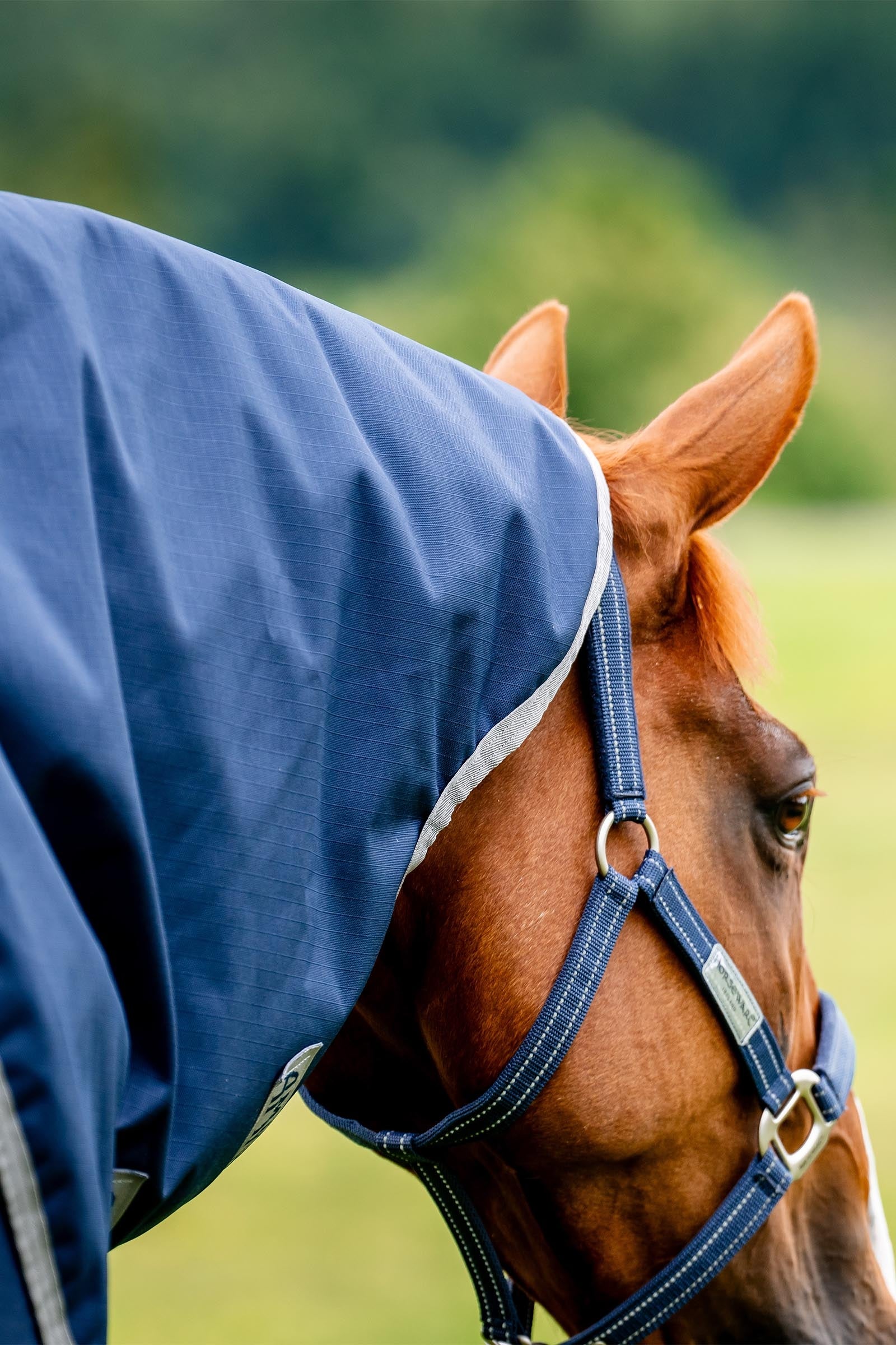 Horseware Amigo Ripstop 900D Plus Turnout, 200g Horse Rugs