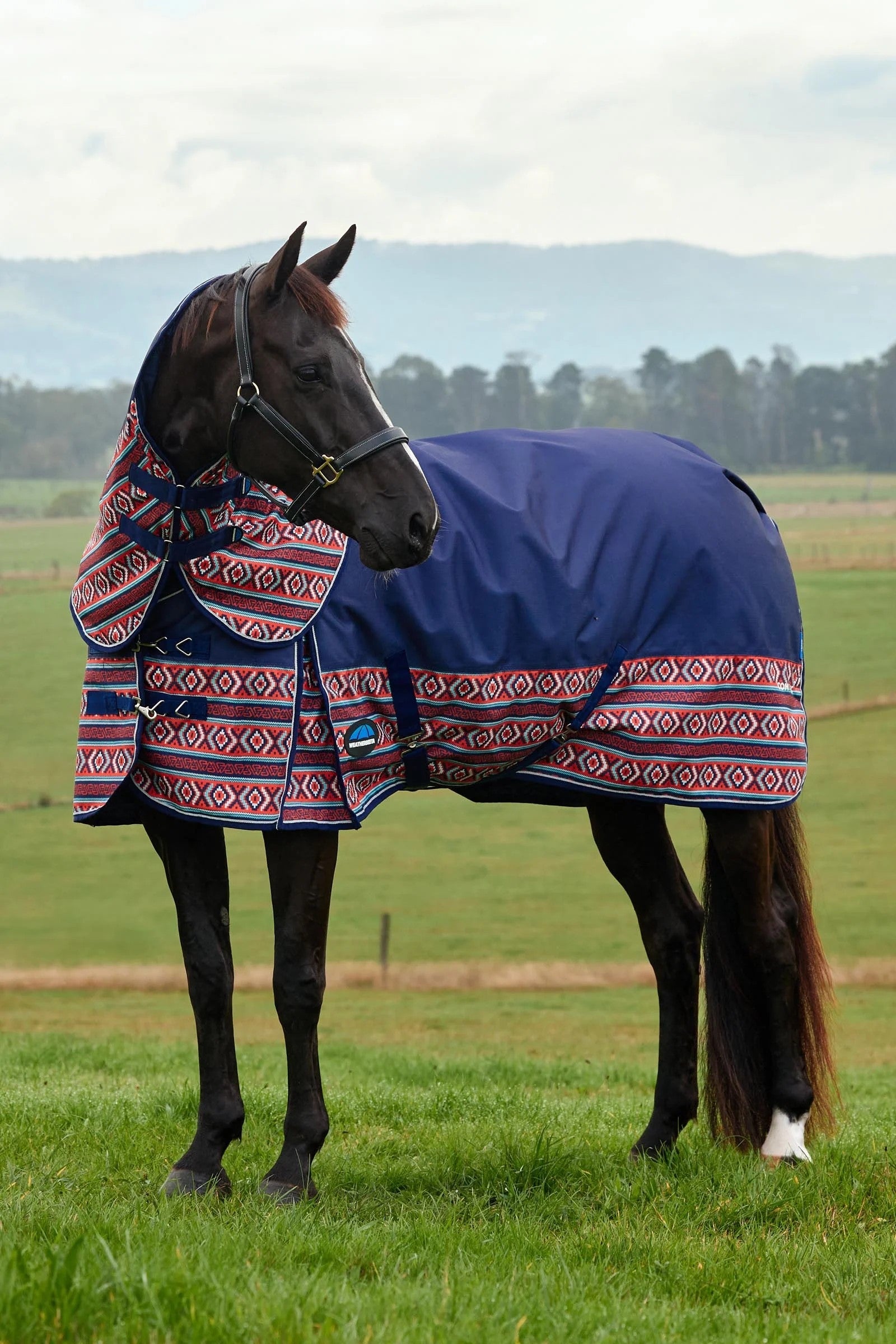 Weatherbeeta Comfitec Legend Turnout Rug Detach-A-Neck 220g Coperte per cavalli