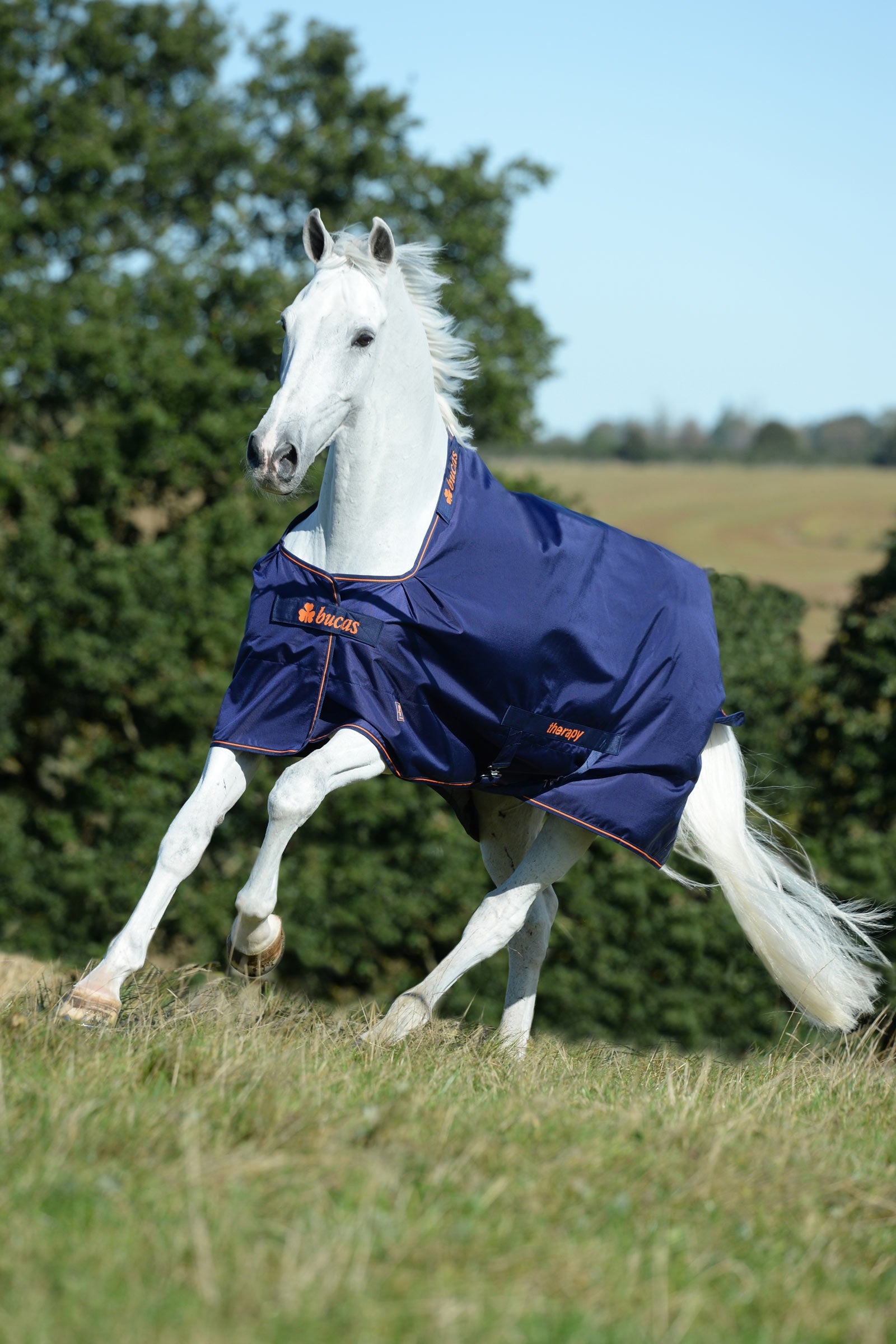 Bucas Therapy Turnout Rug, 150g Horse Rugs